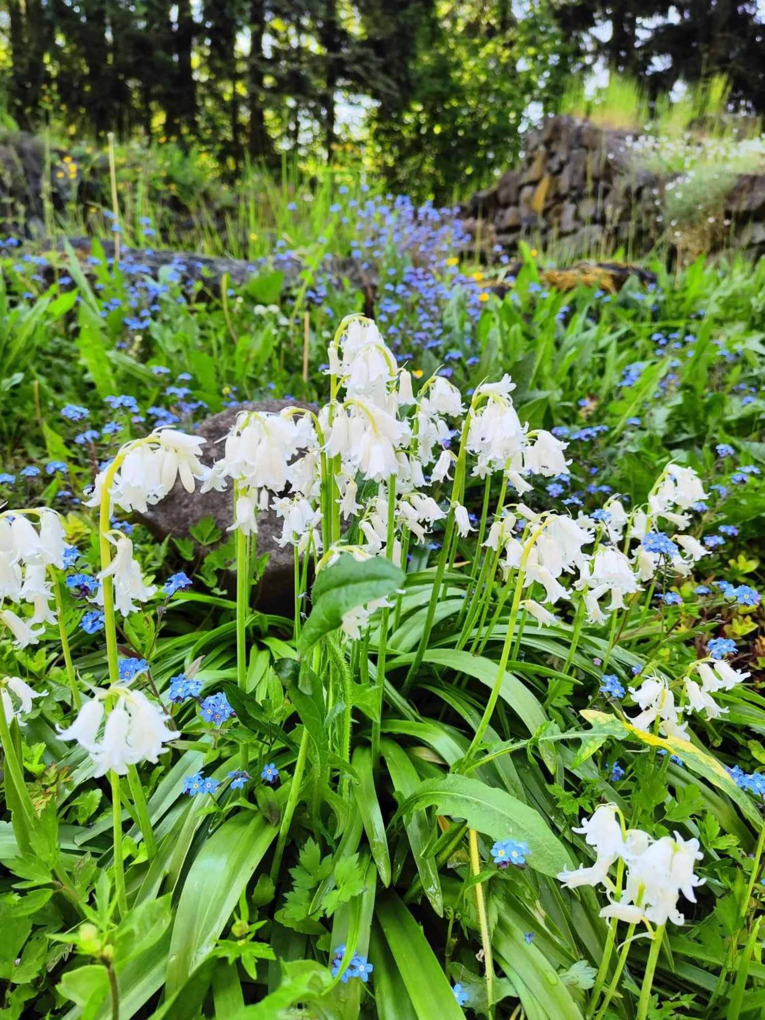 Spring in Bed and Breakfast Tvrz