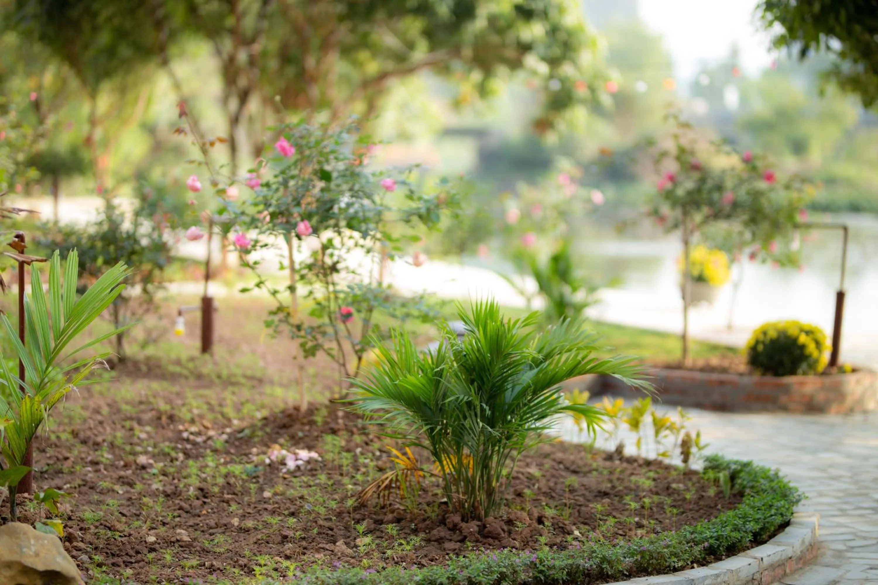 Serena riverside homestay - Tràng An