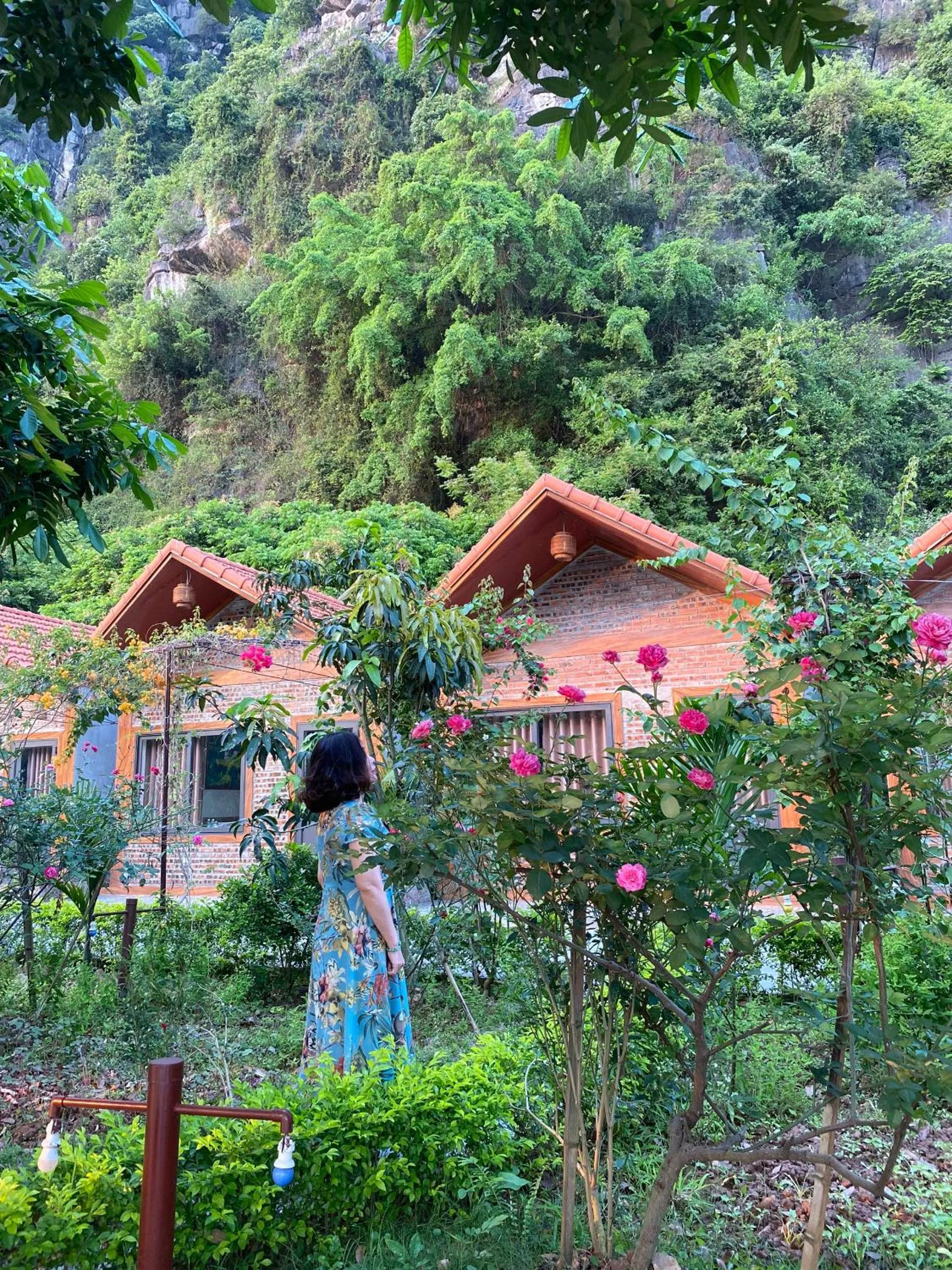Serena riverside homestay - Tràng An