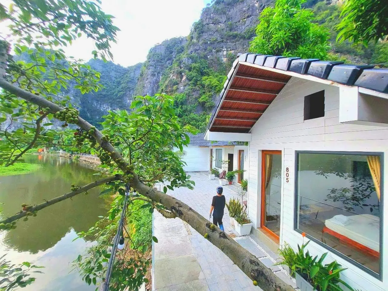 Serena riverside homestay - Tràng An