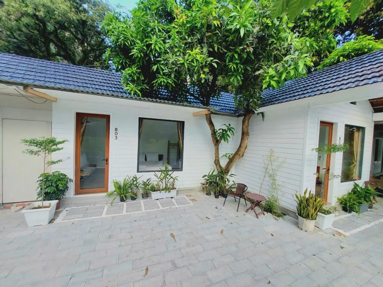 Serena riverside homestay - Tràng An