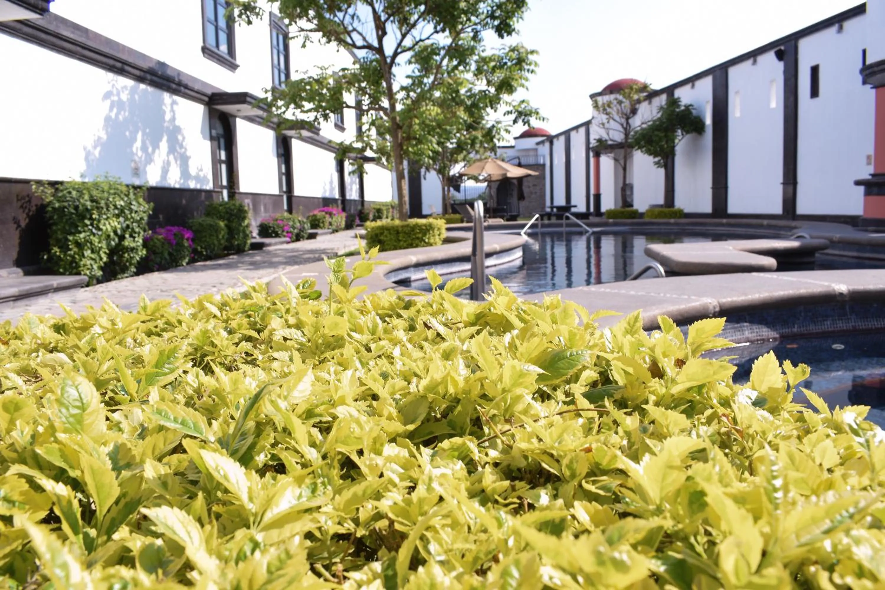 Swimming pool in The Latit Hotel Querétaro