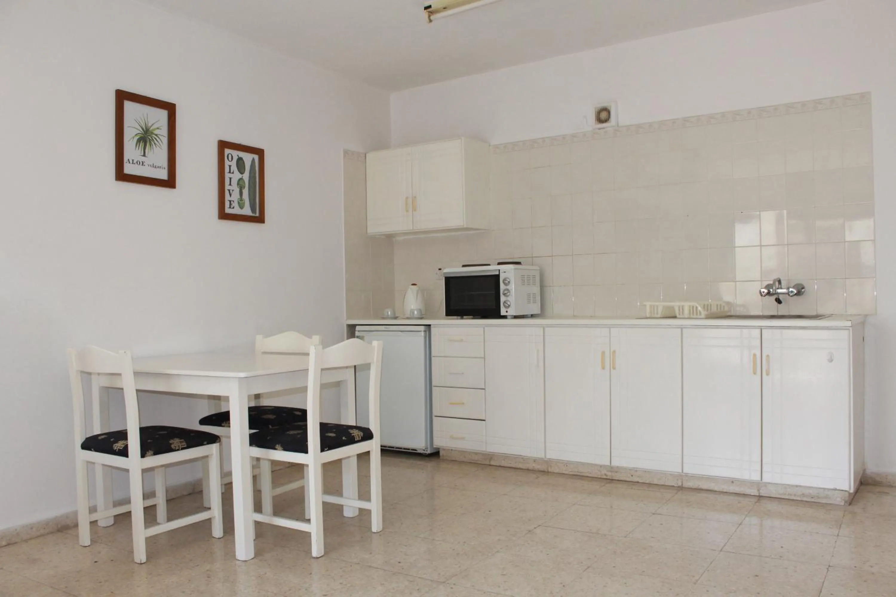 Kitchen or kitchenette in Florea Hotel Apartments