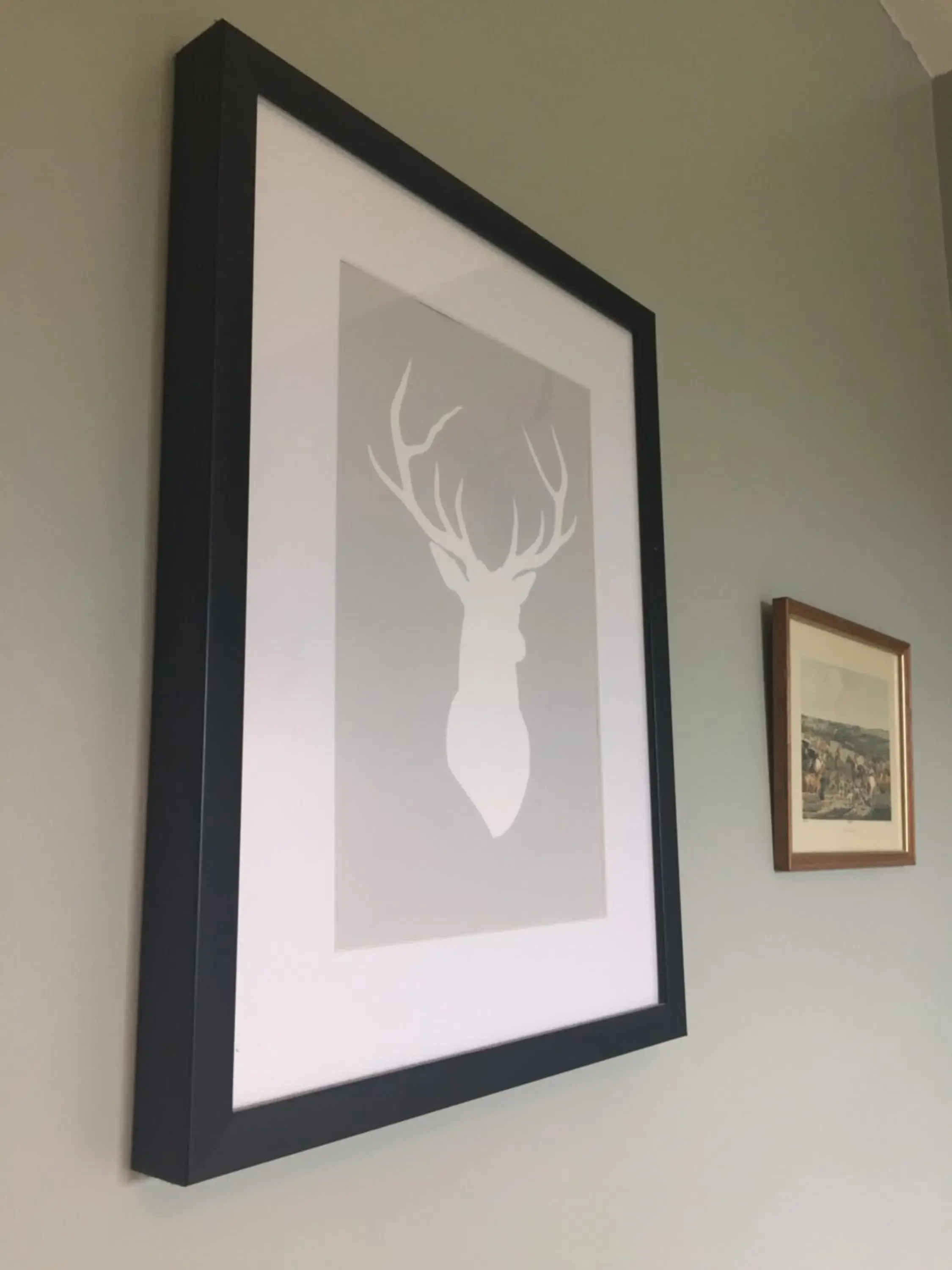 Abel's Harp Abel's Harp