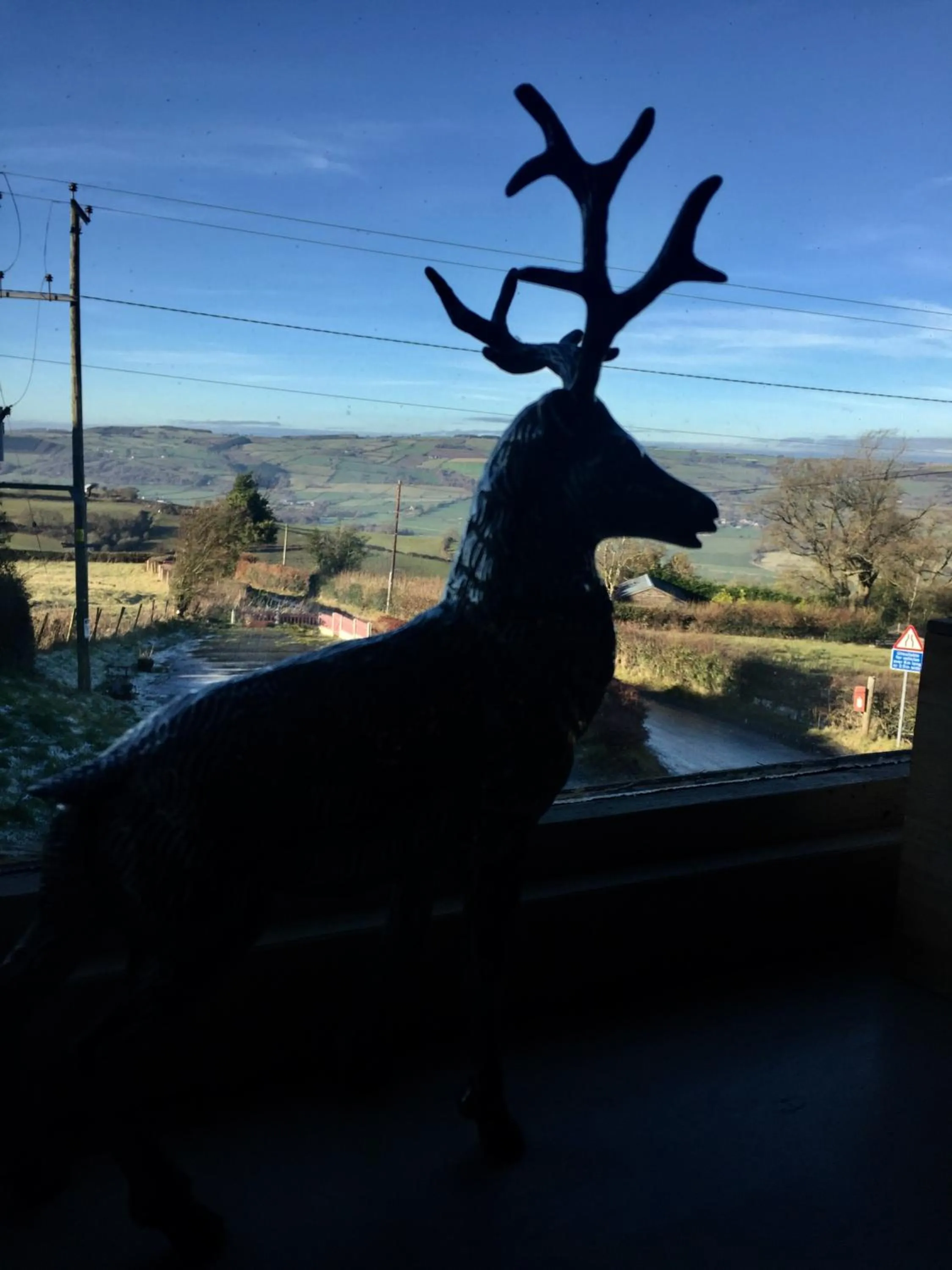 Decorative detail in Abel's Harp