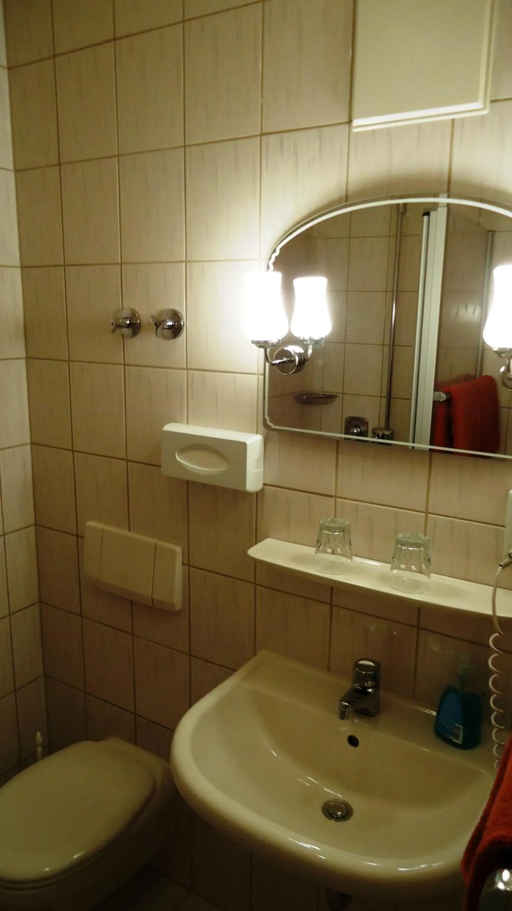 Bathroom in Hotel Krone