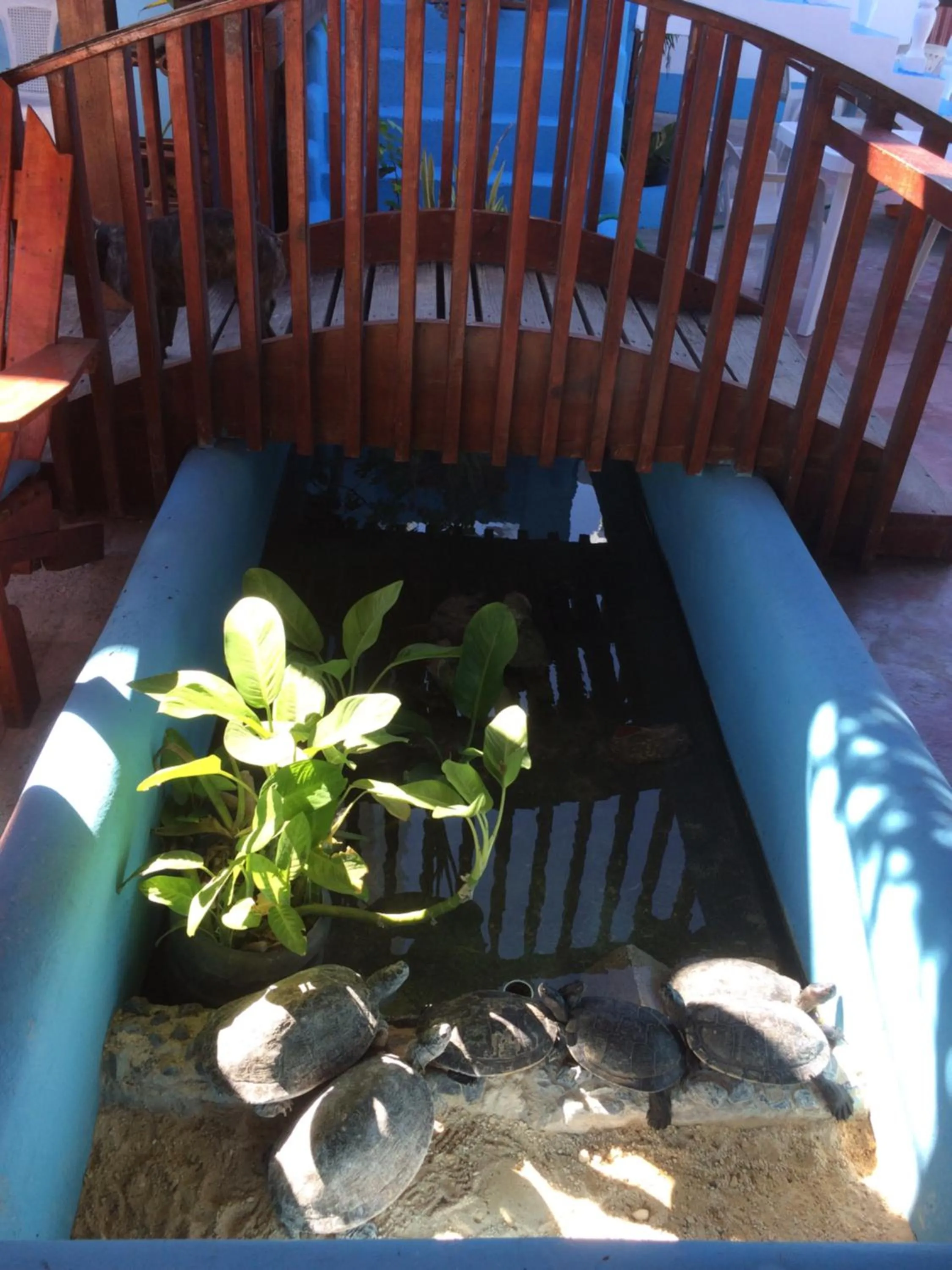 Hotel Sol Azul