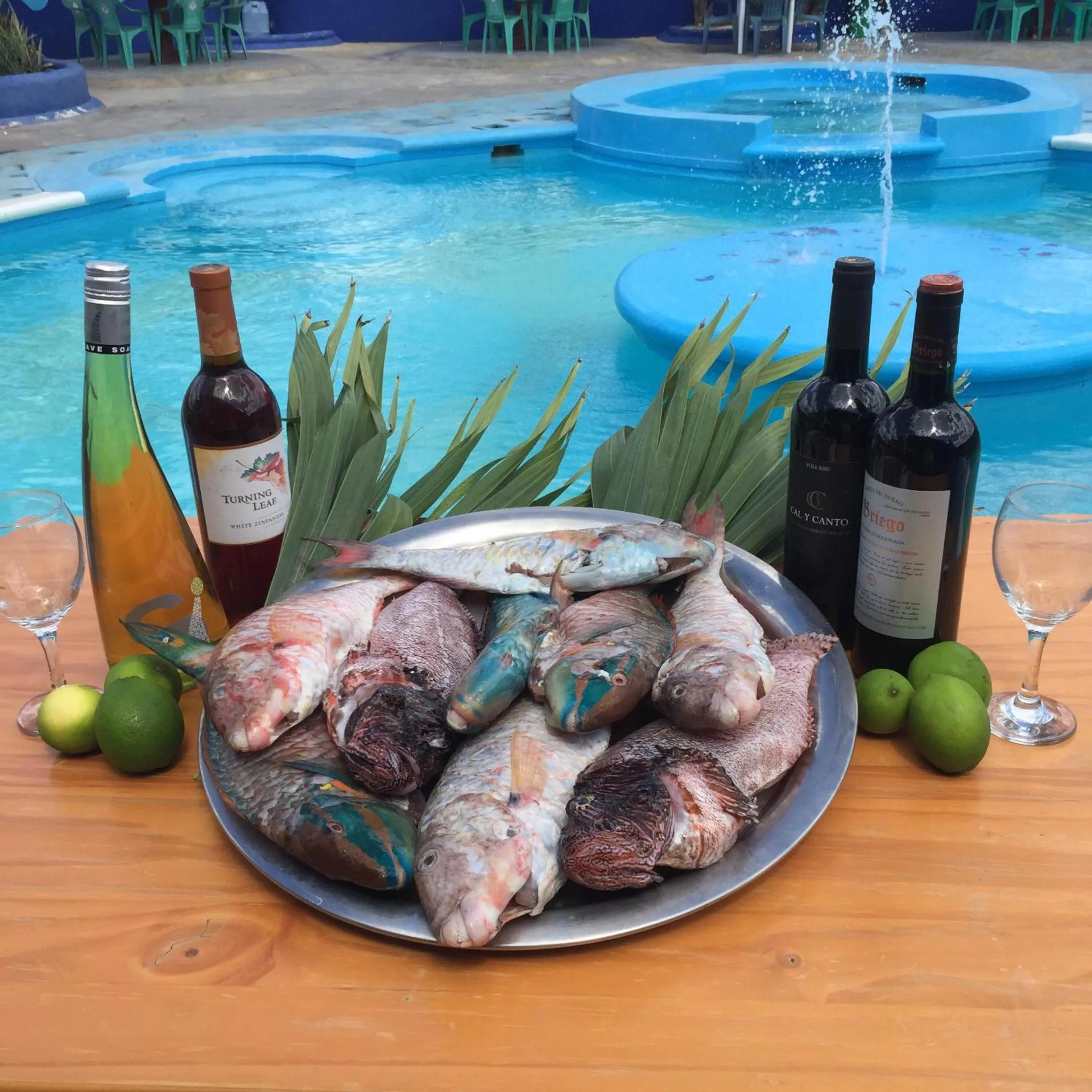 Restaurant/places to eat in Hotel Sol Azul