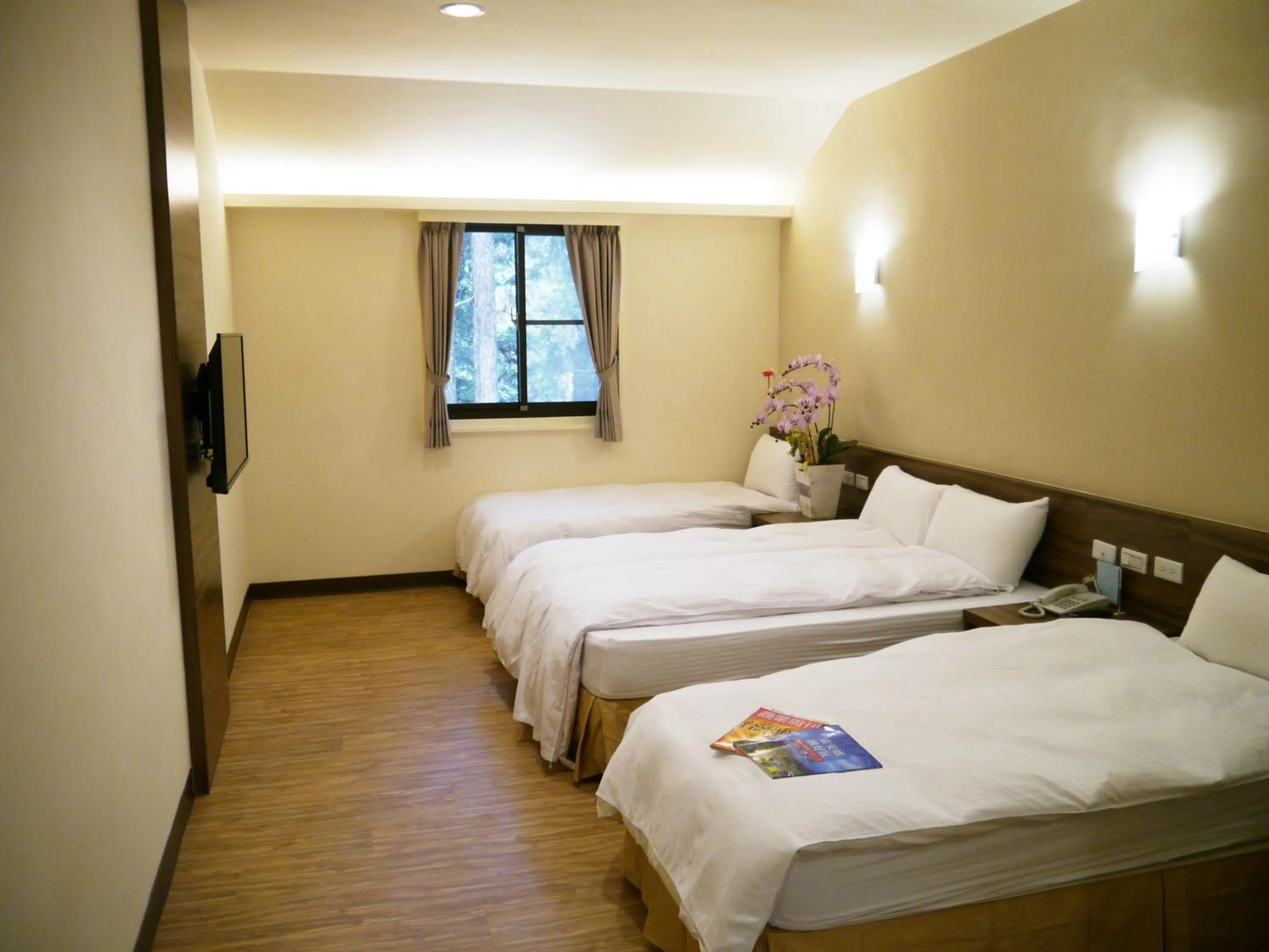 Photo of the whole room, Bed in Xitou Youth Activity Center