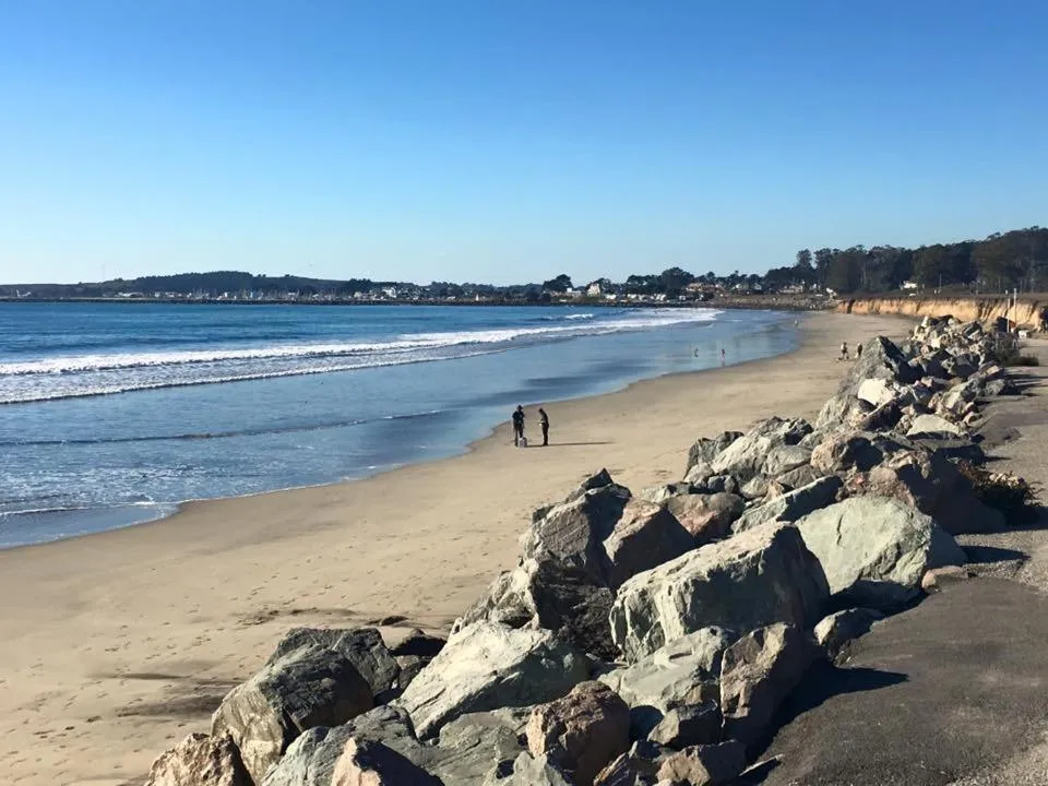 Nearby landmark in The Oceanfront Stay on MiramarBeach HMB