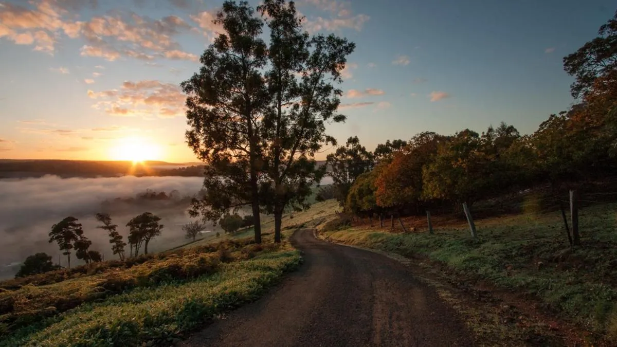 View (from property/room) in Balingup Heights Hilltop Forest Cottages