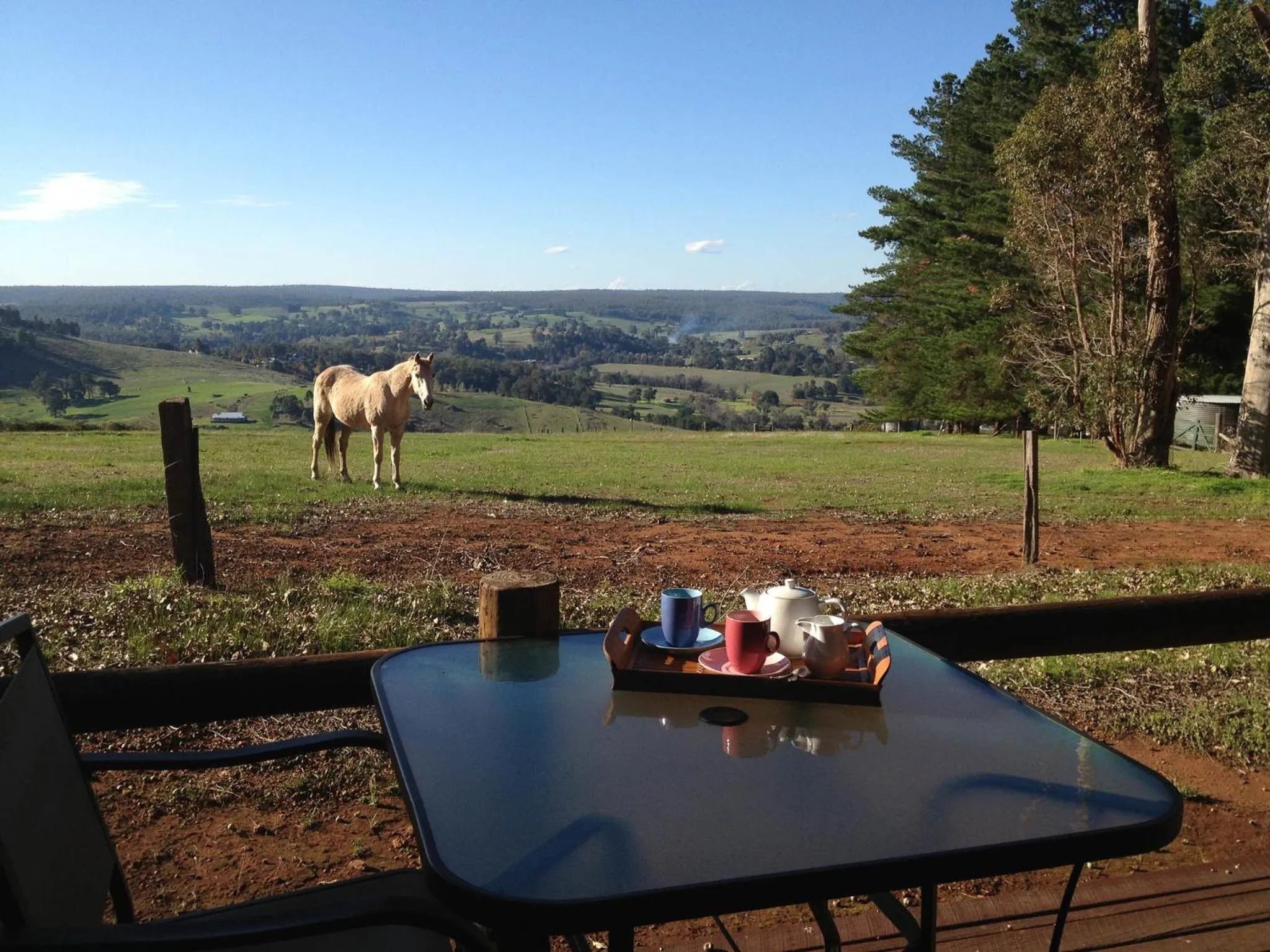 View (from property/room) in Balingup Heights Hilltop Forest Cottages