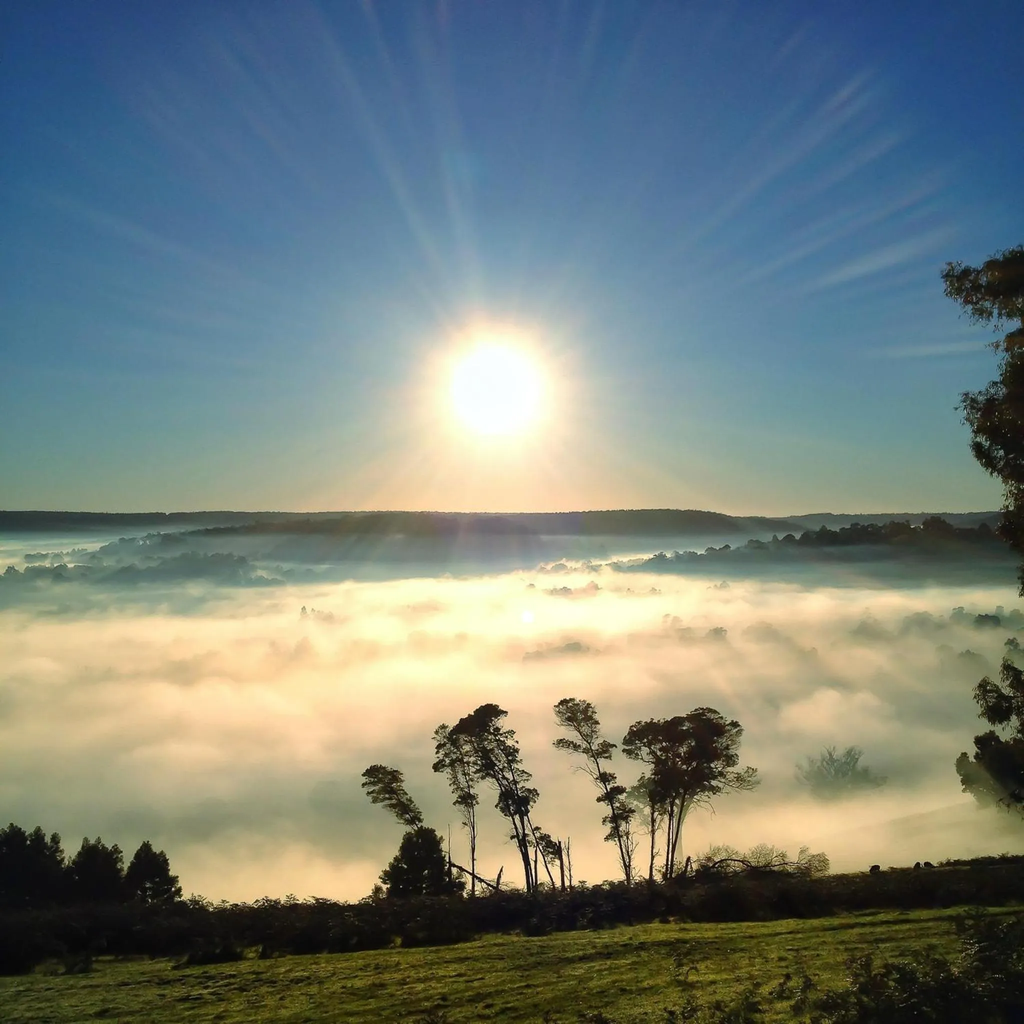 Natural landscape in Balingup Heights Hilltop Forest Cottages