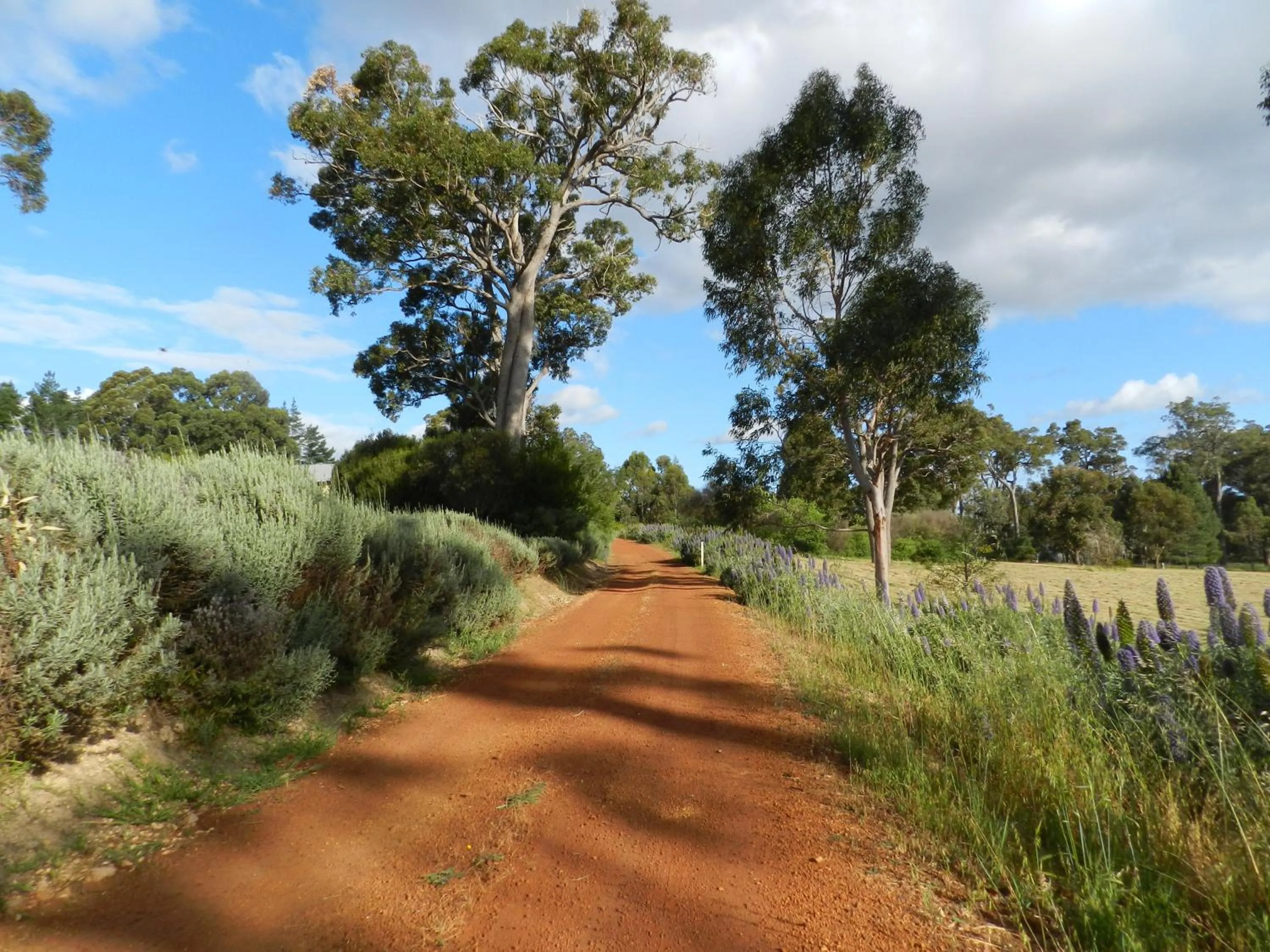 Street view in Shambhala Guesthouse