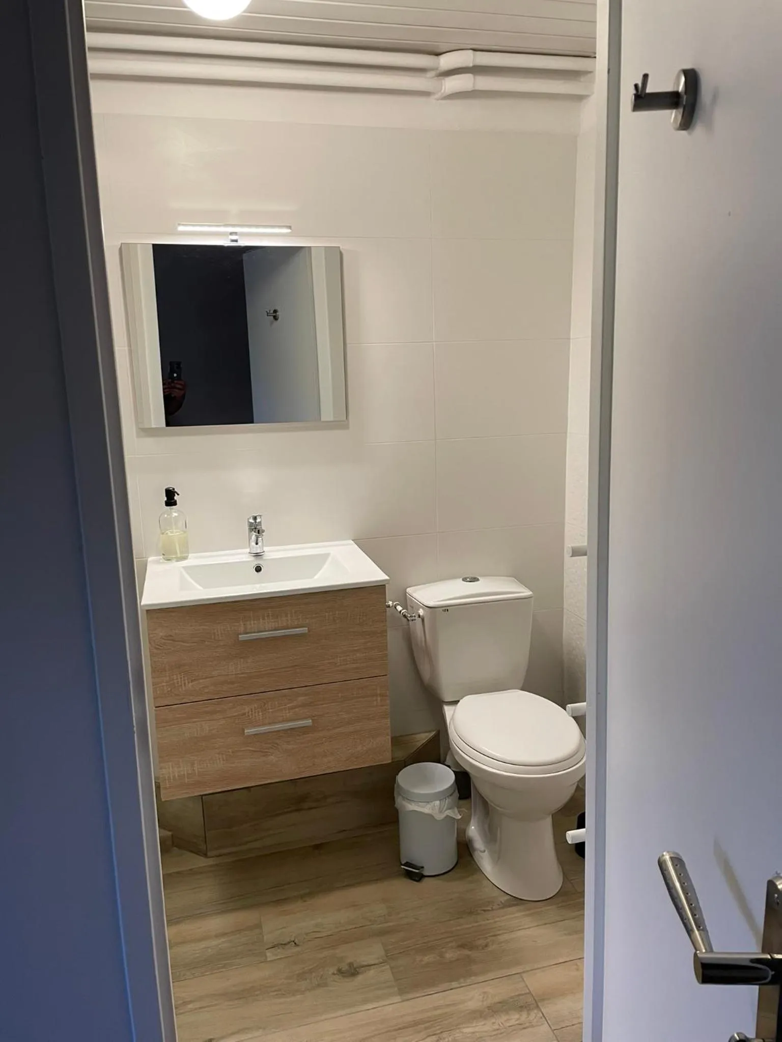 Toilet in Le Saint-Hilaire