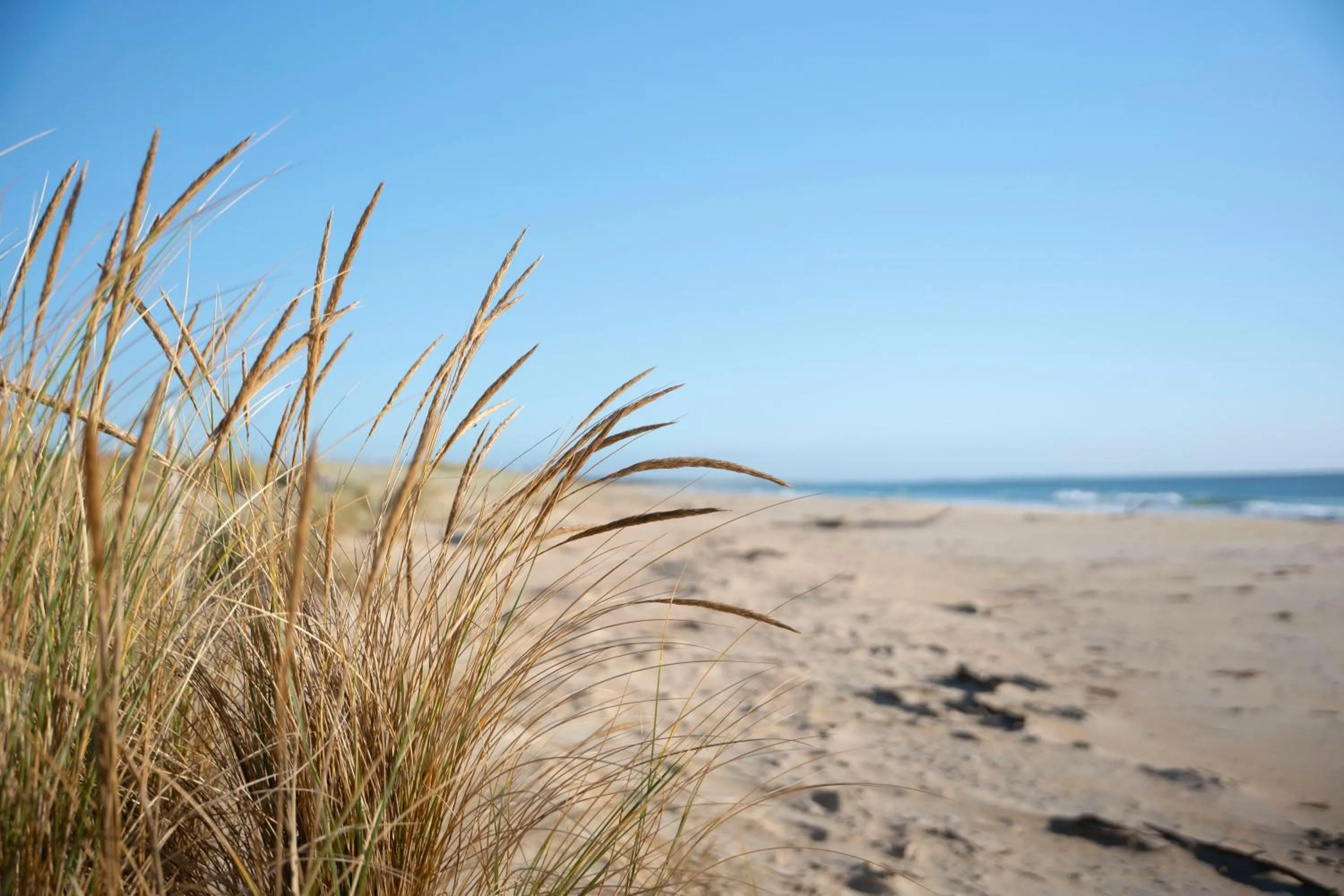 Natural landscape in Blue Seas Holiday Villas