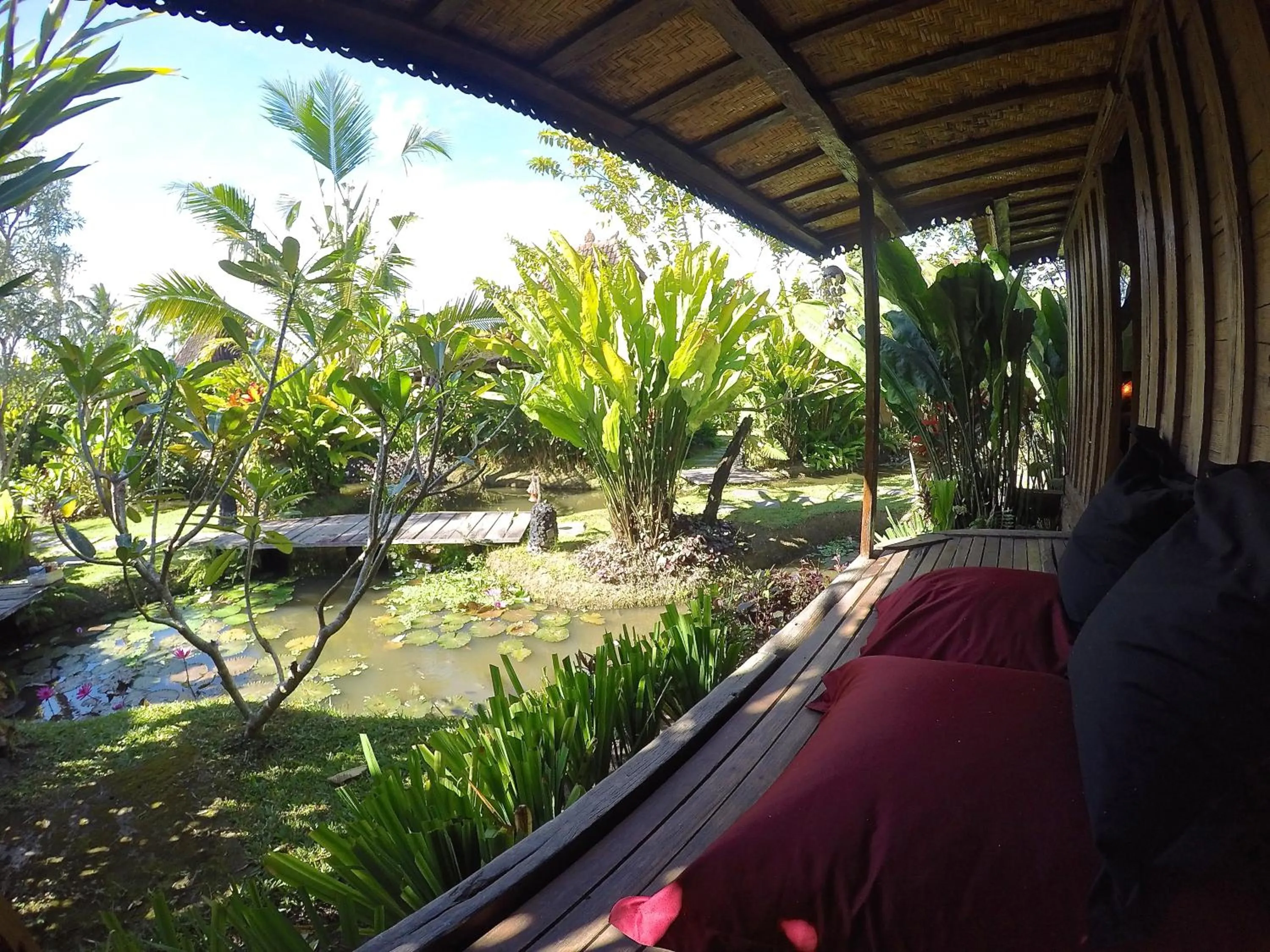 Garden in Dragonfly Village