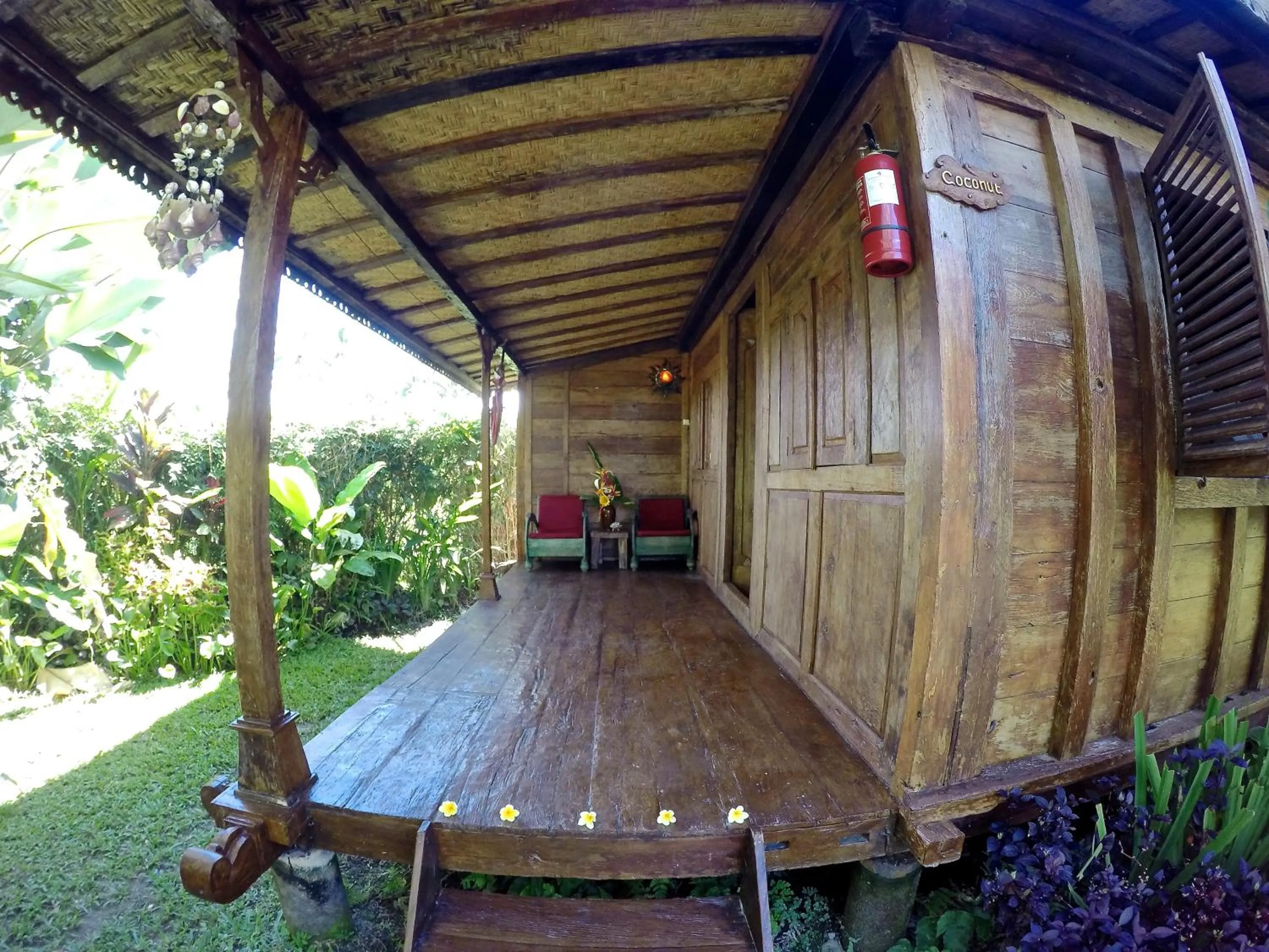 Garden in Dragonfly Village