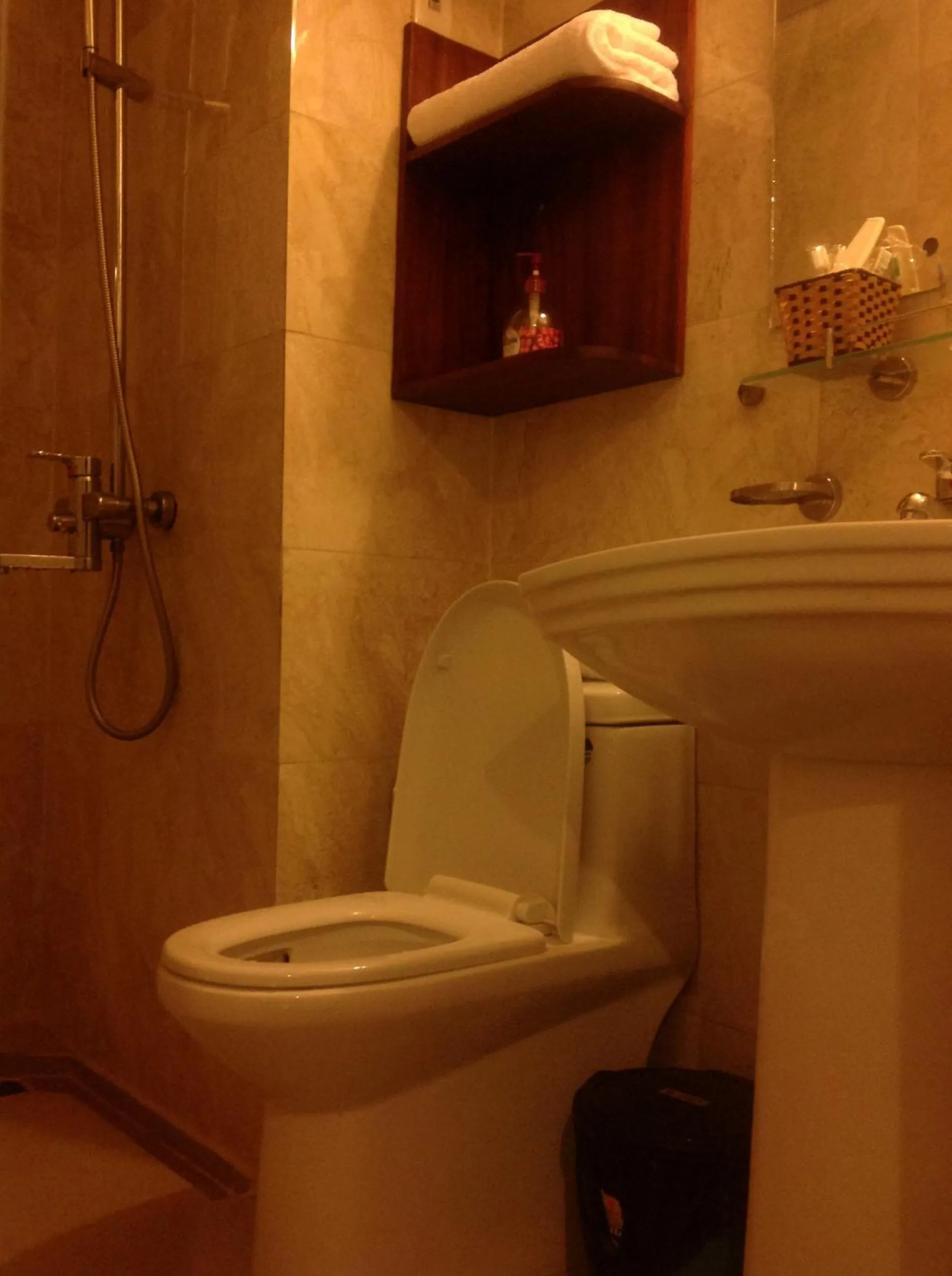 Toilet in Sapa Lake View Hotel