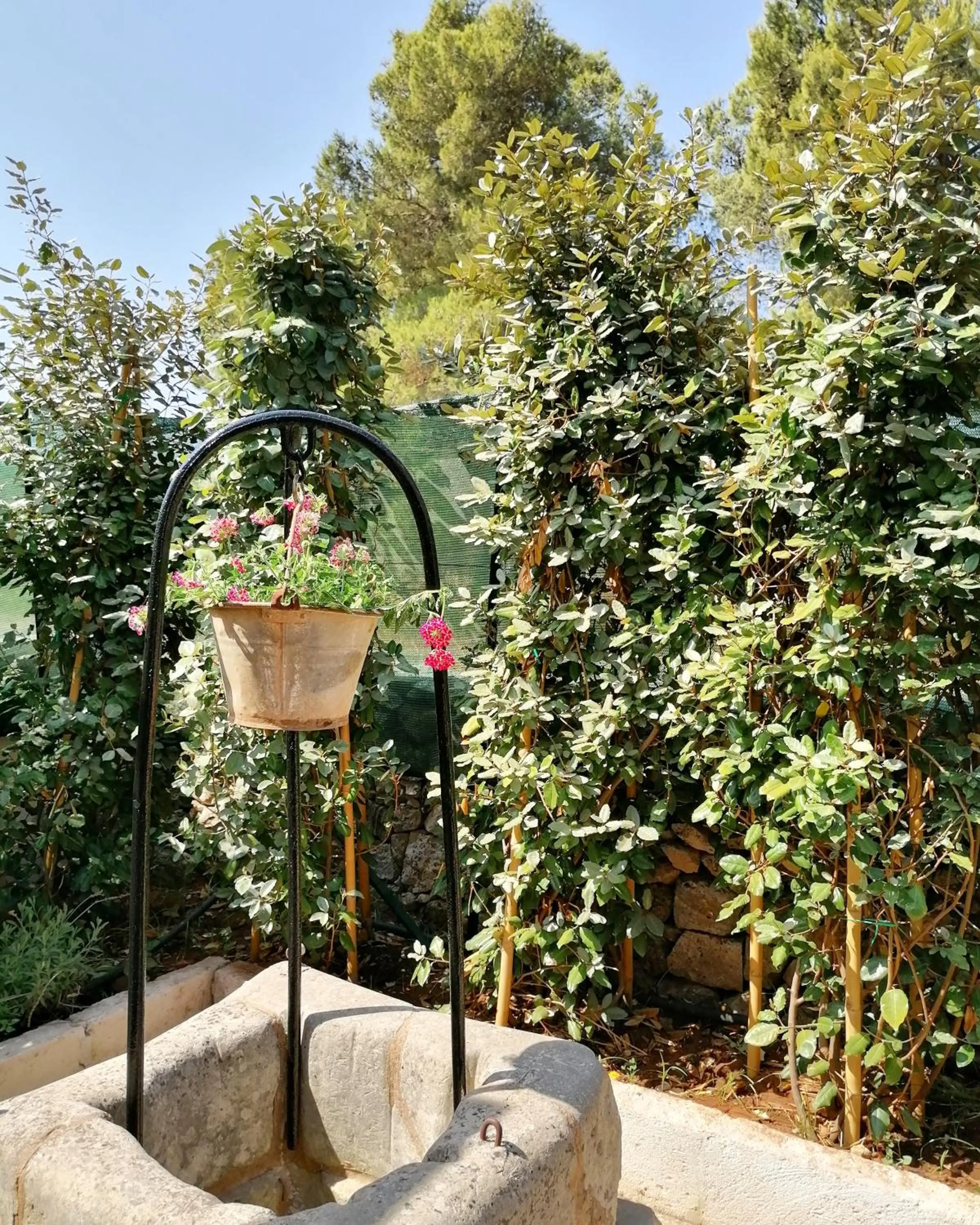 Patio in Nicuzza