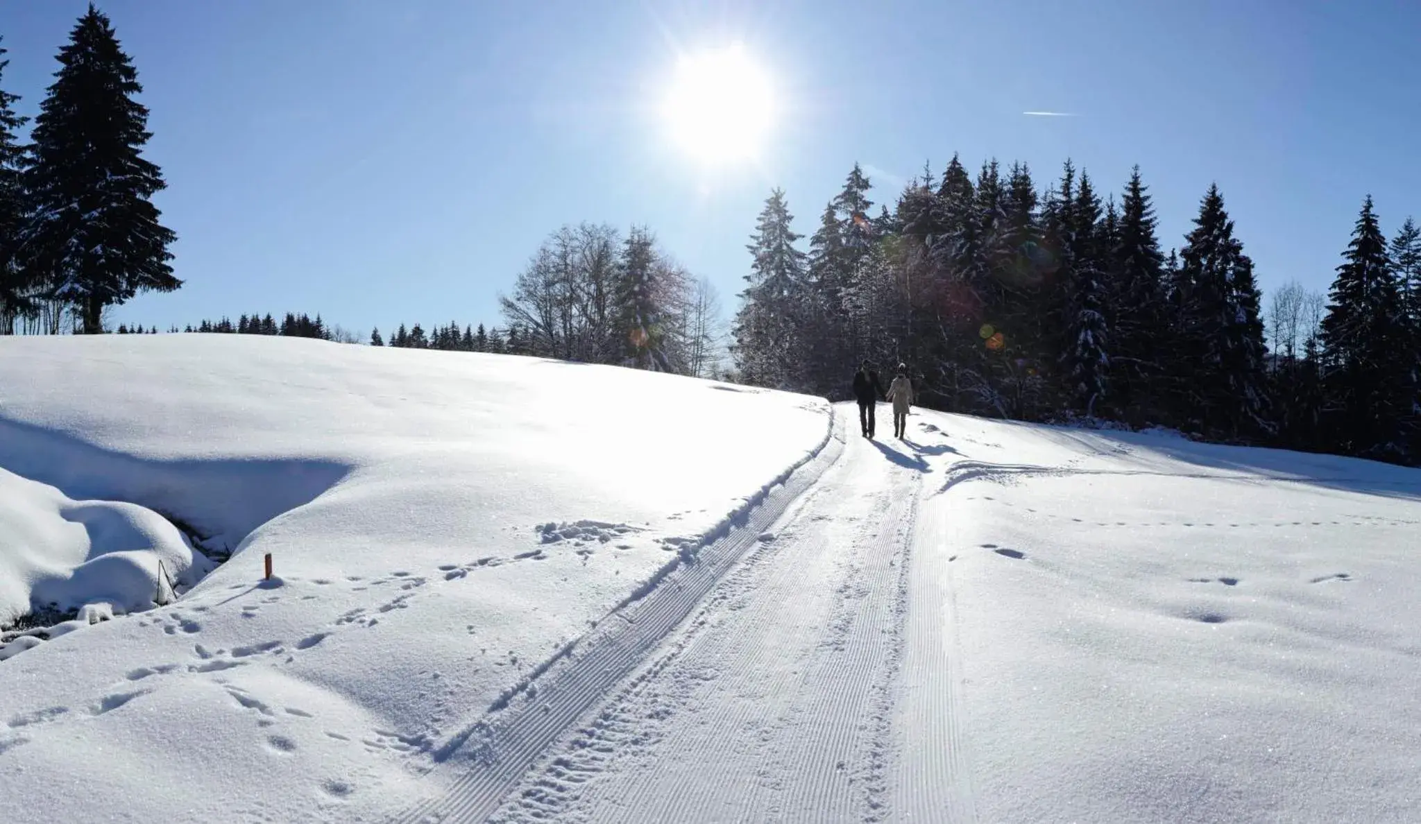 Natural landscape, Winter in Hanusel Hof