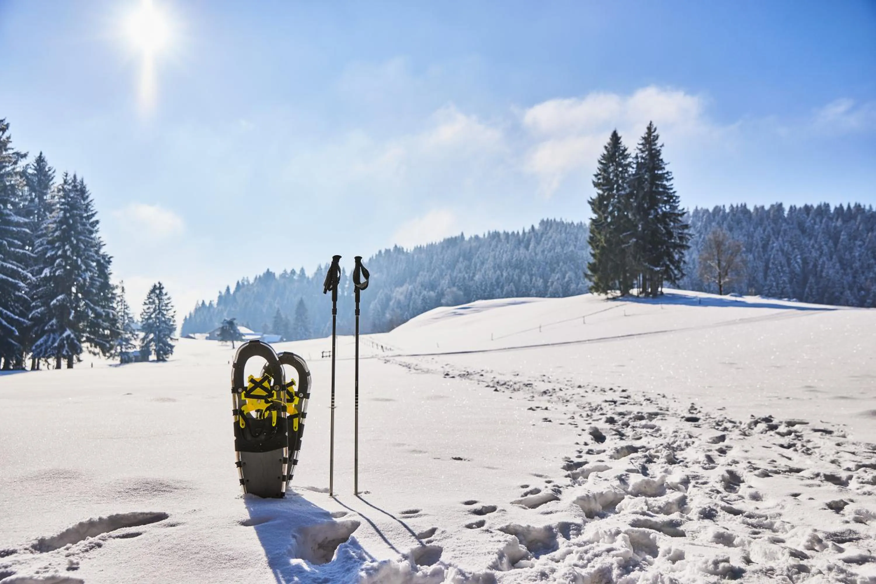 Day in Hanusel Hof Wellness & Genuss in Panoramalage