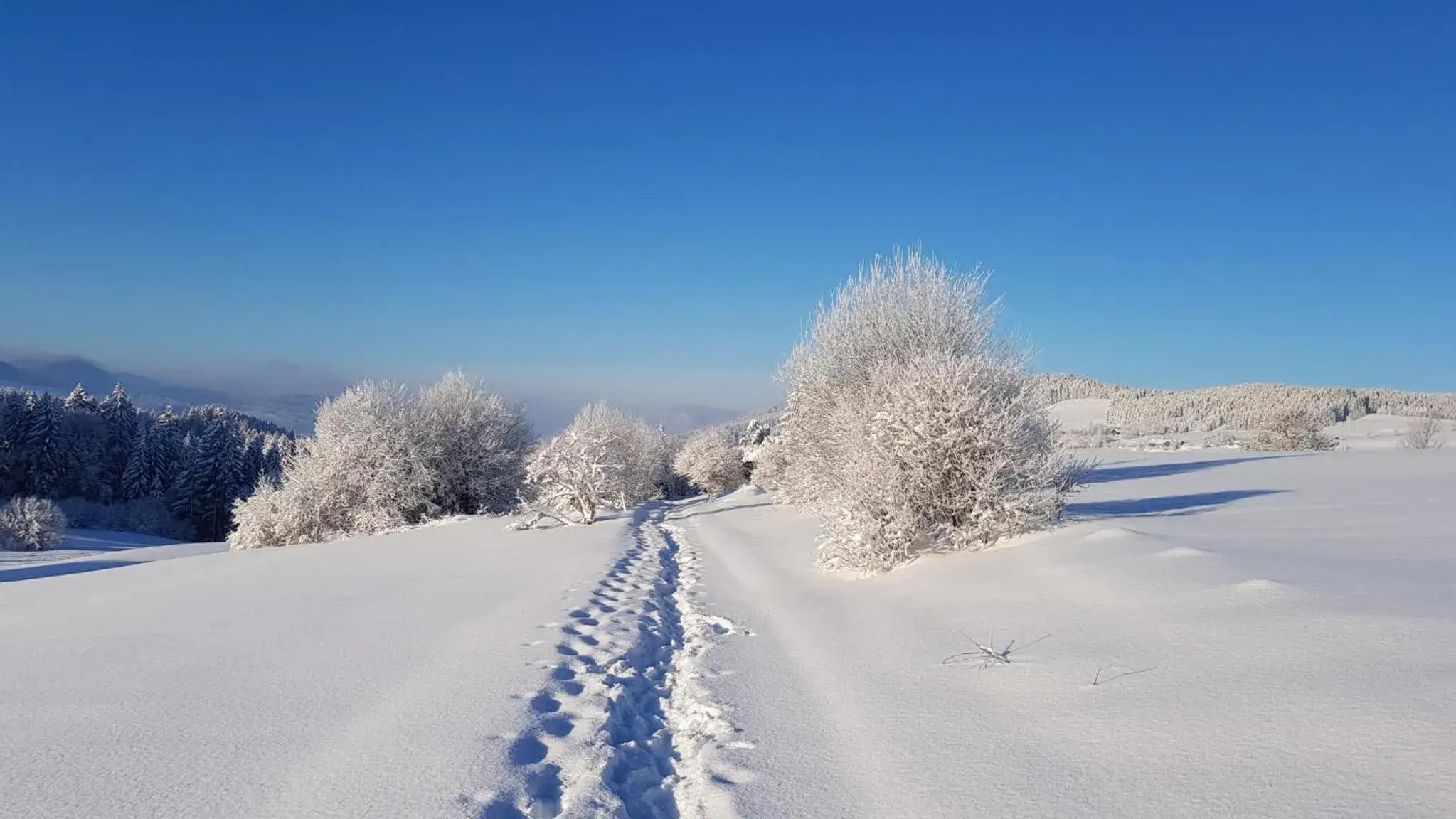 Natural landscape, Winter in Hanusel Hof