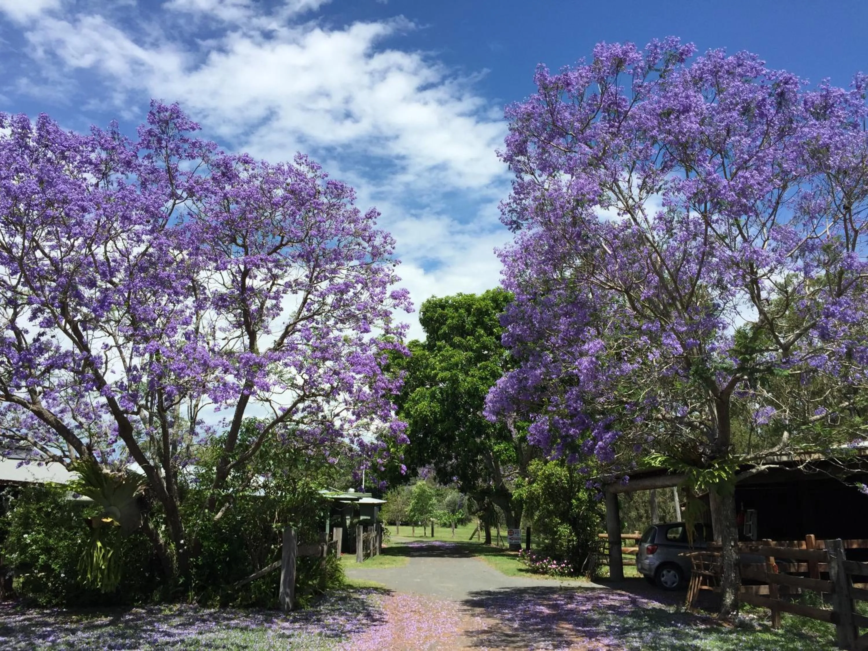 Garden in Amamoor Lodge