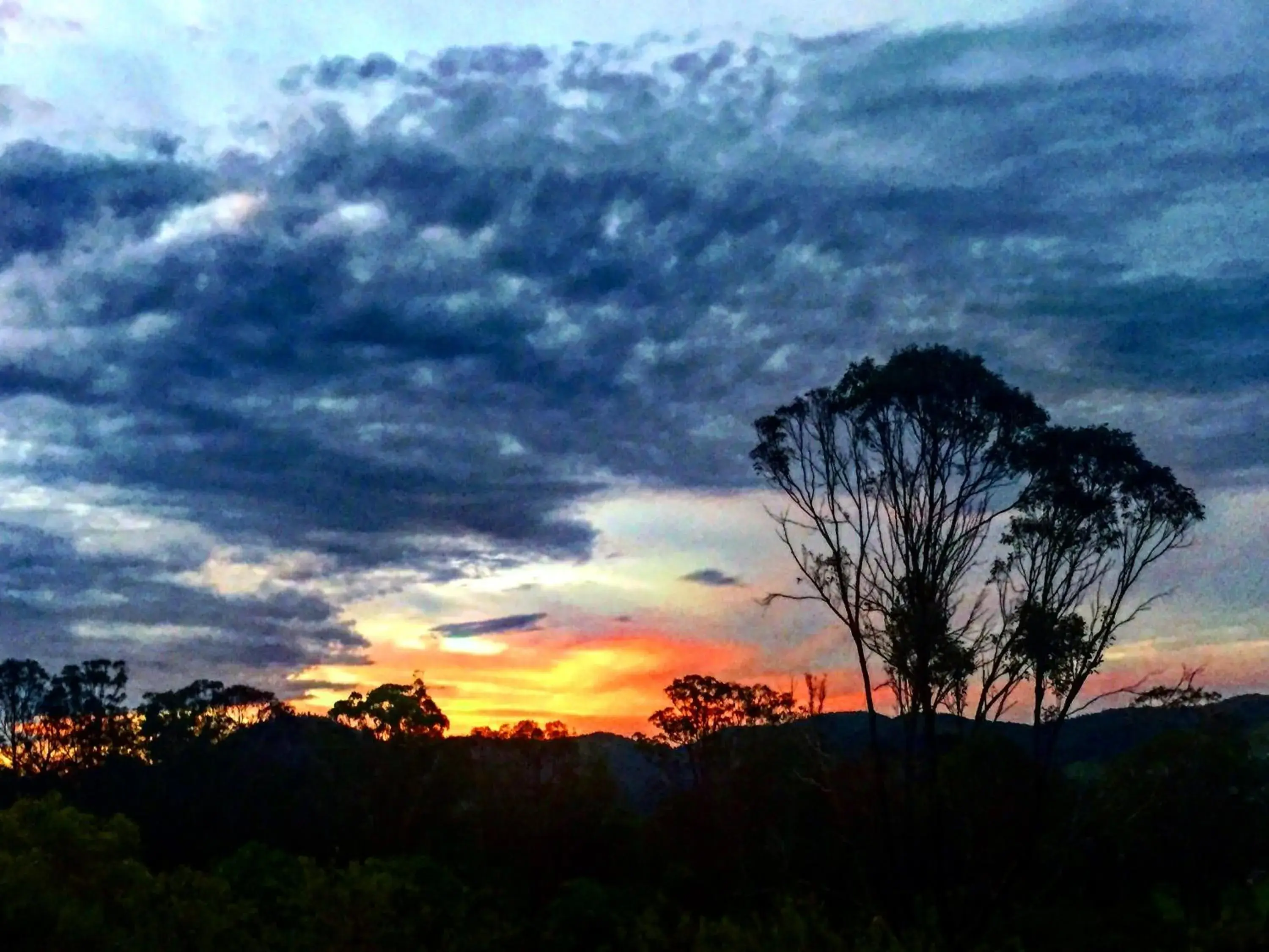 Summer in Amamoor Lodge Summer in Amamoor Lodge