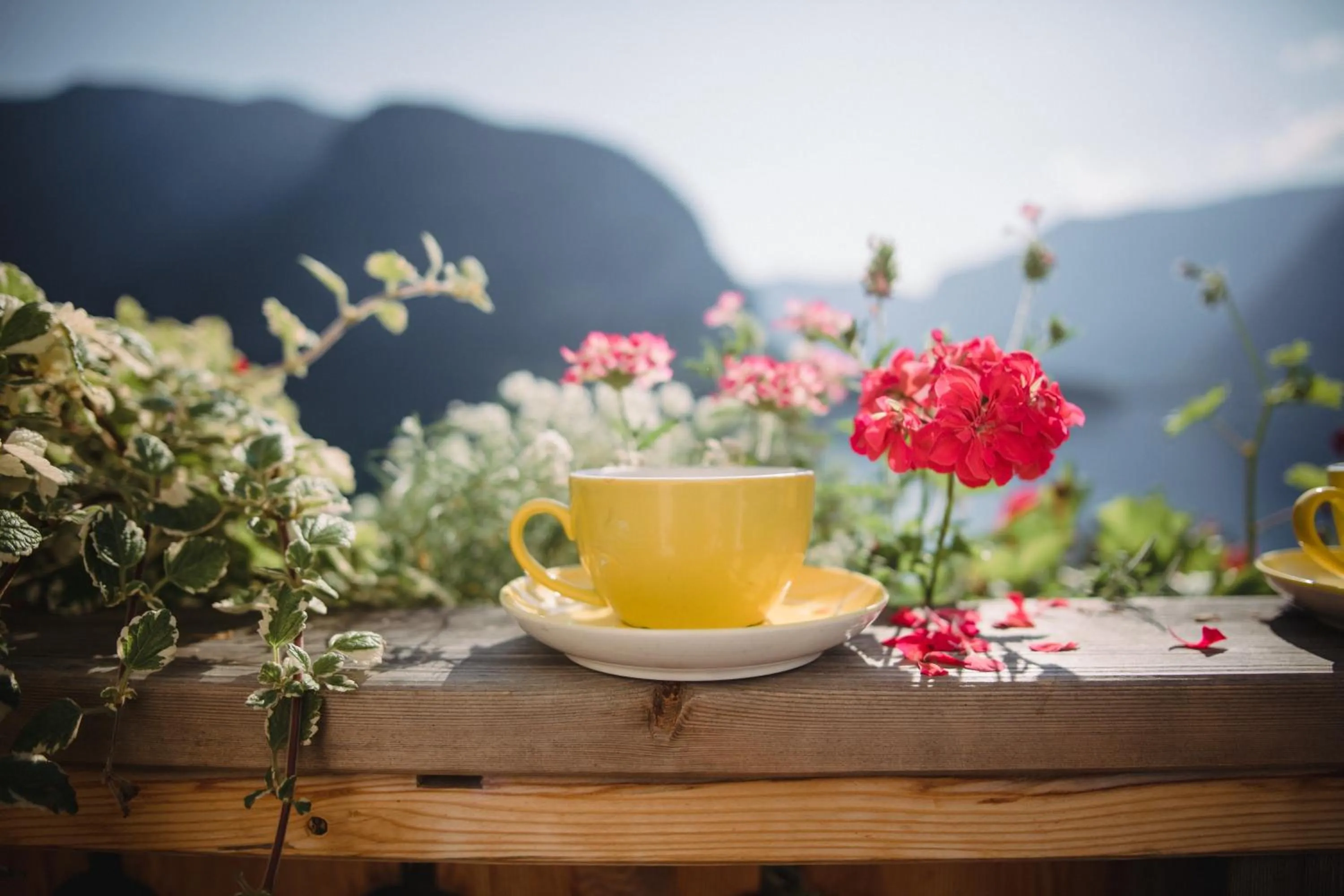 Gasthof Simony Hallstatt B&B