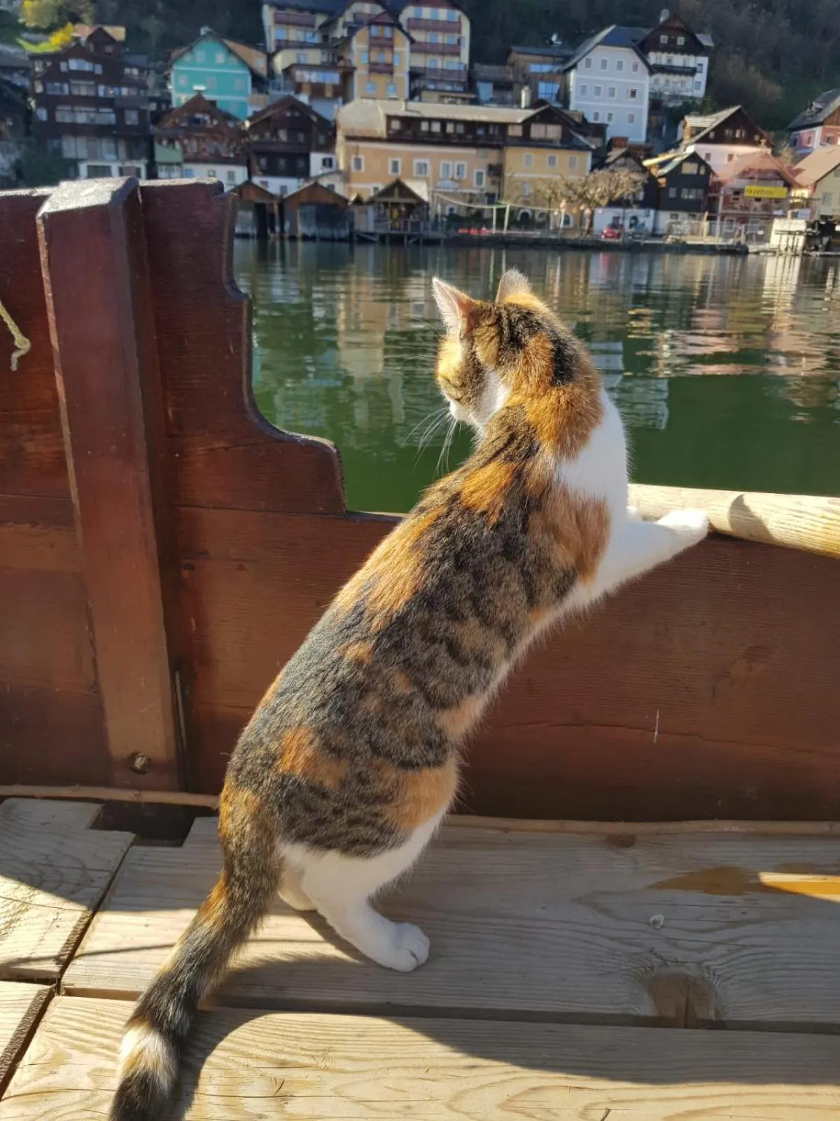 Property building in Bräugasthof Hallstatt