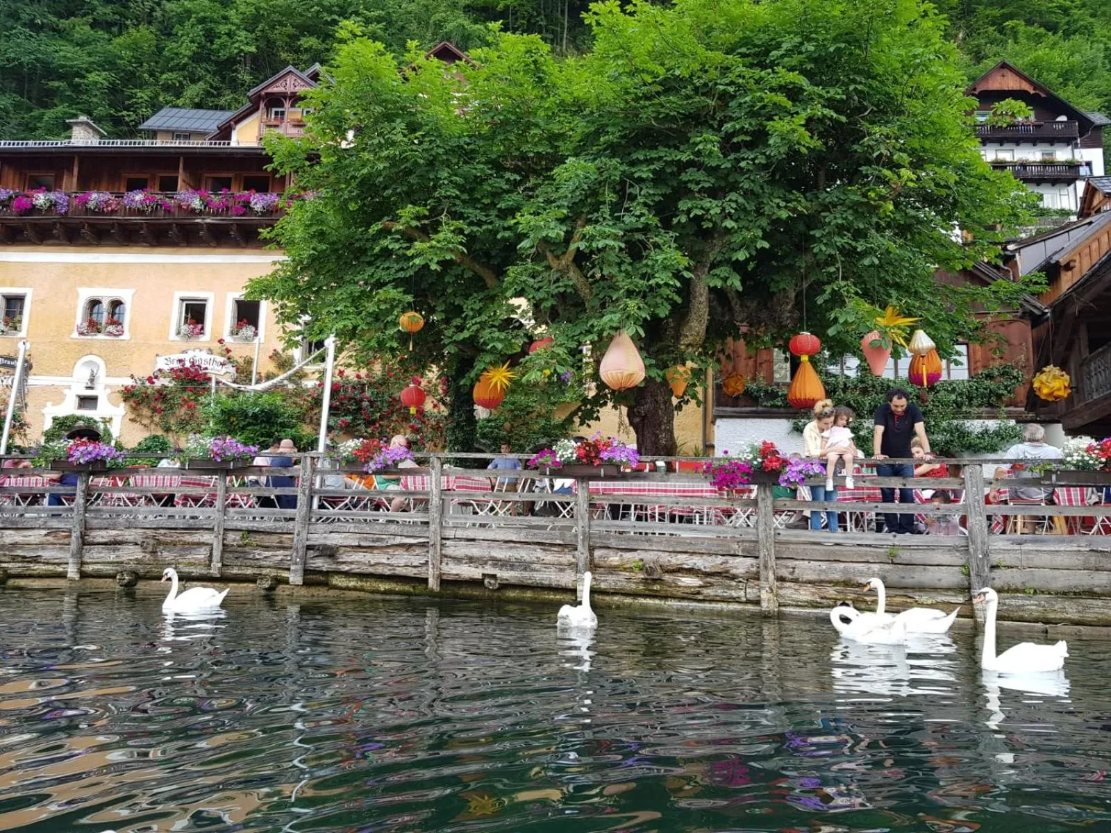 Bräugasthof Hallstatt