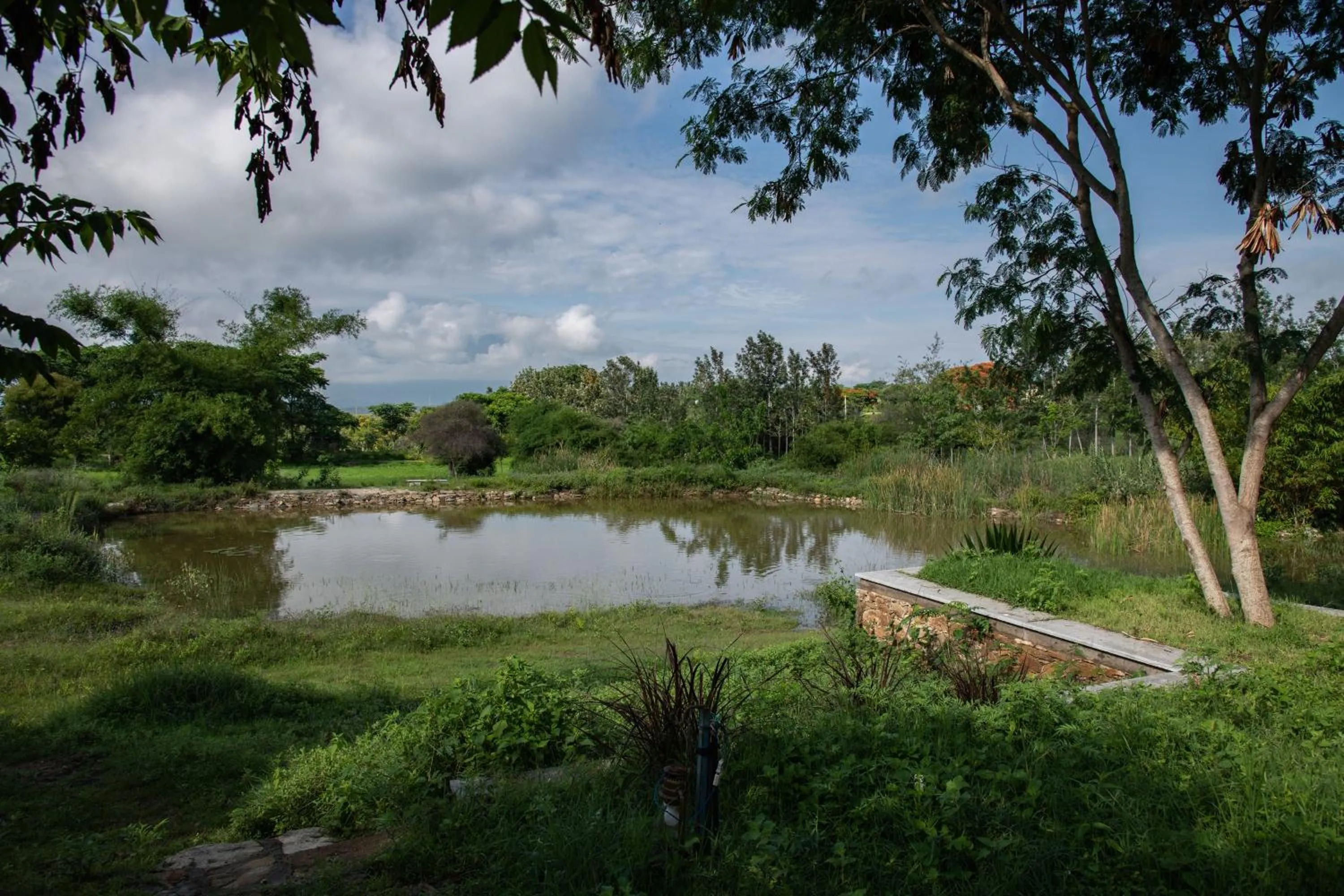 Natural landscape in Dhole's Den Bandipur