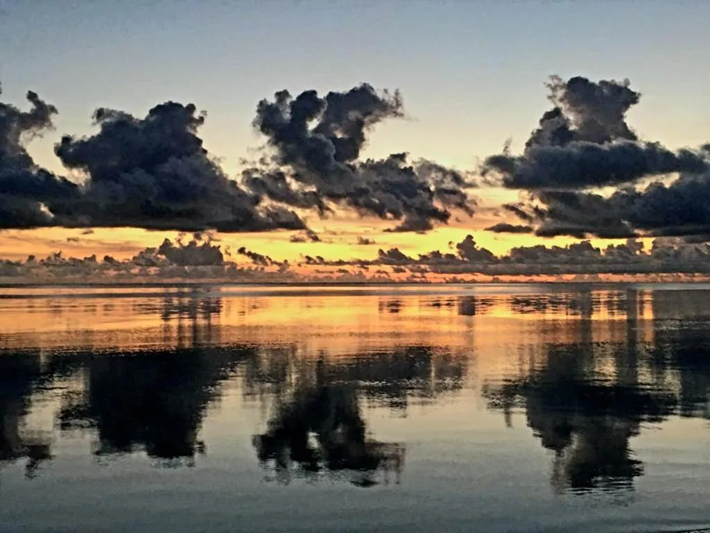 Garden view in Garden Beach Bungalows Jambiani