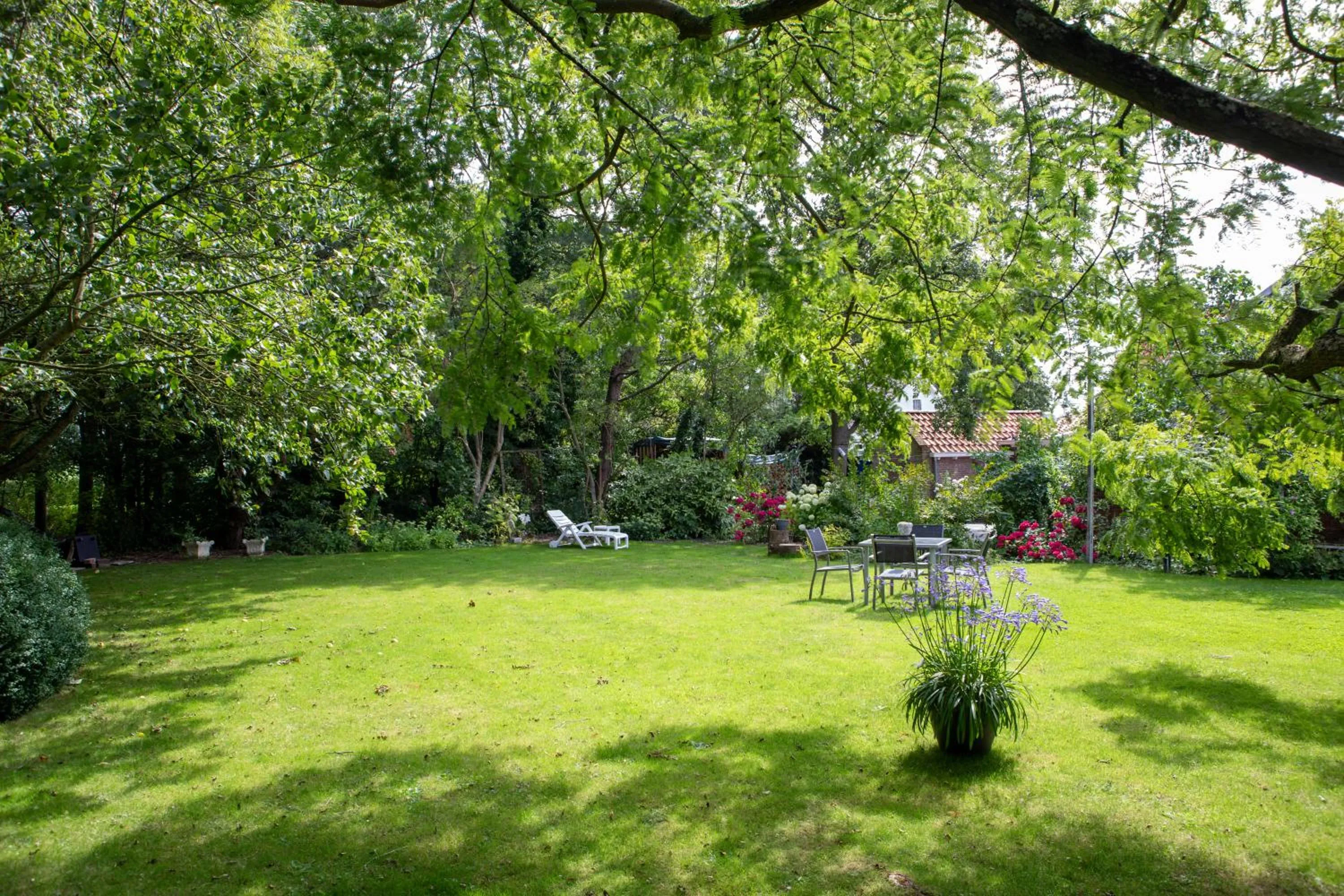 Garden in Bed and Breakfast Lauwersstate