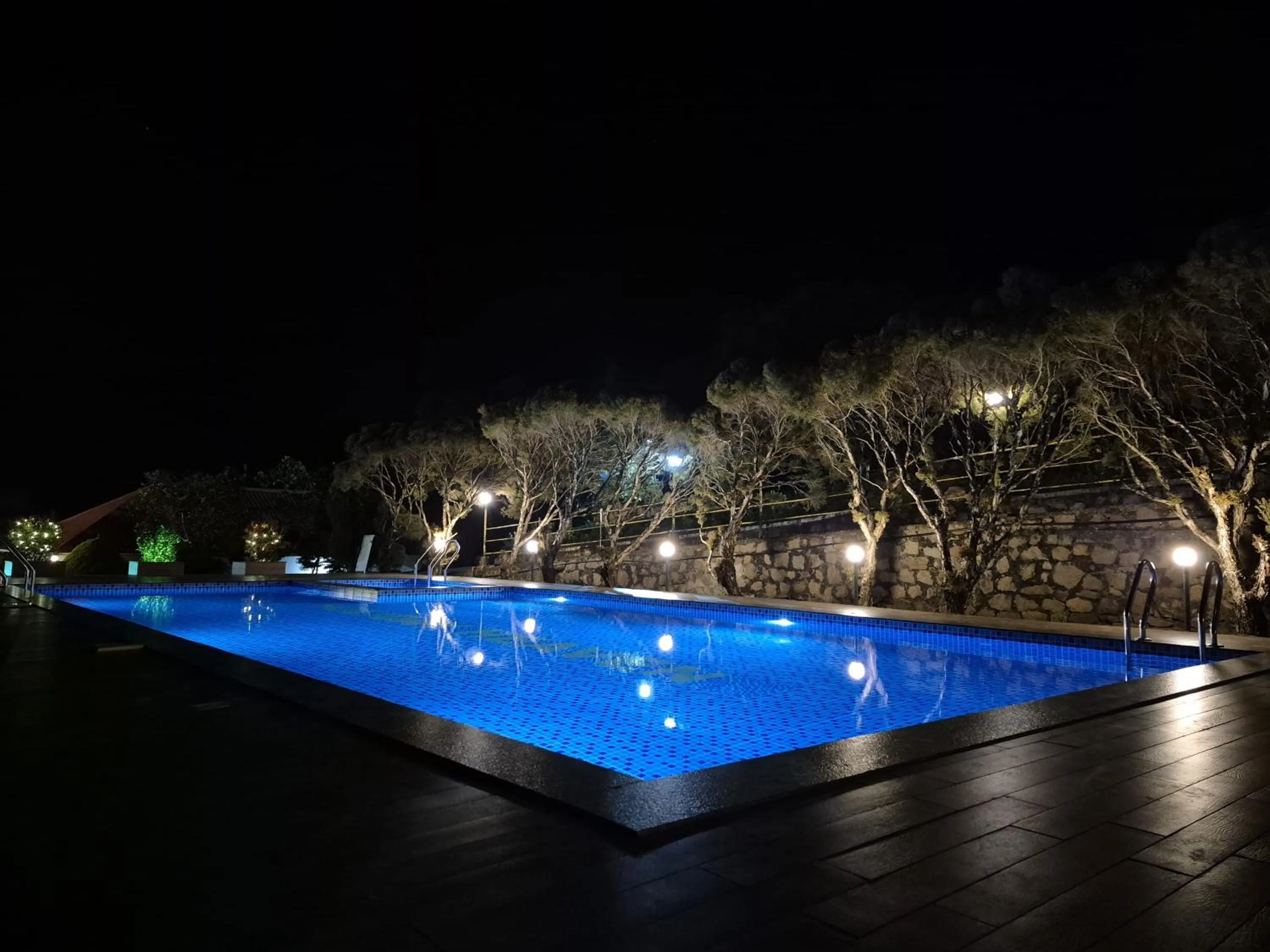 Swimming pool in Holiday Heaven Munnar