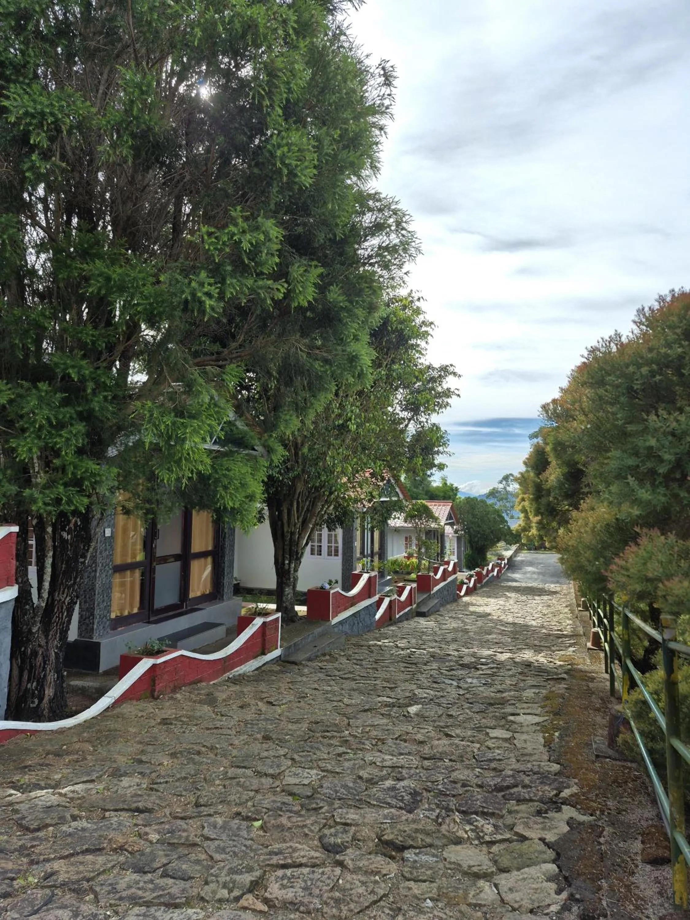 Natural landscape in Holiday Heaven Munnar