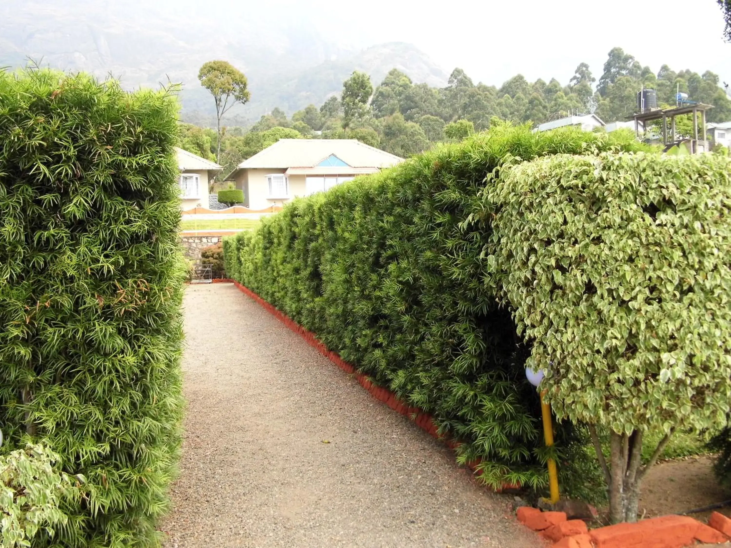 View (from property/room) in Holiday Heaven Munnar View (from property/room) in Holiday Heaven Munnar