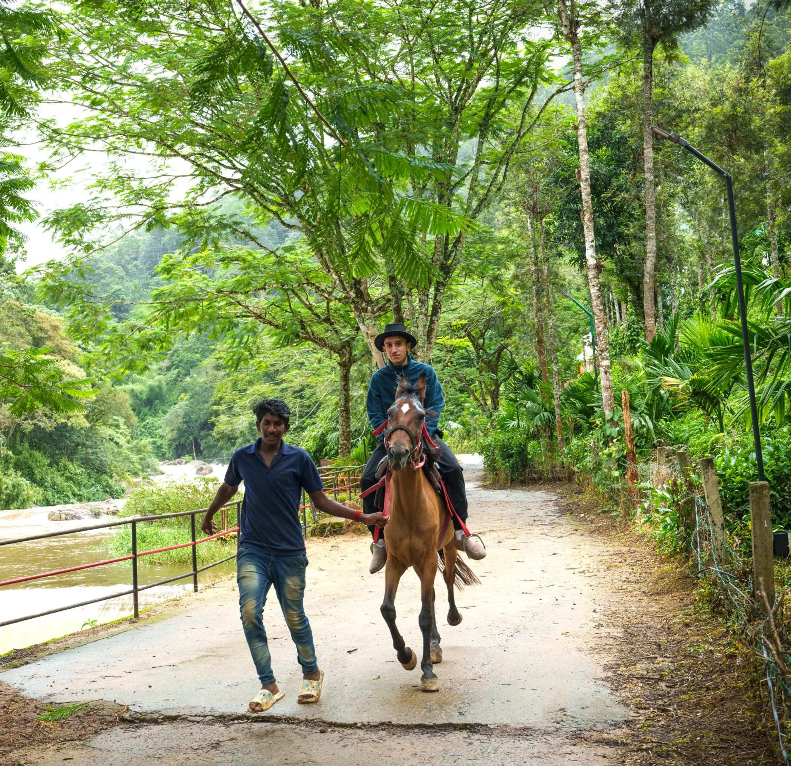 Horse-riding in Rivulet Resort