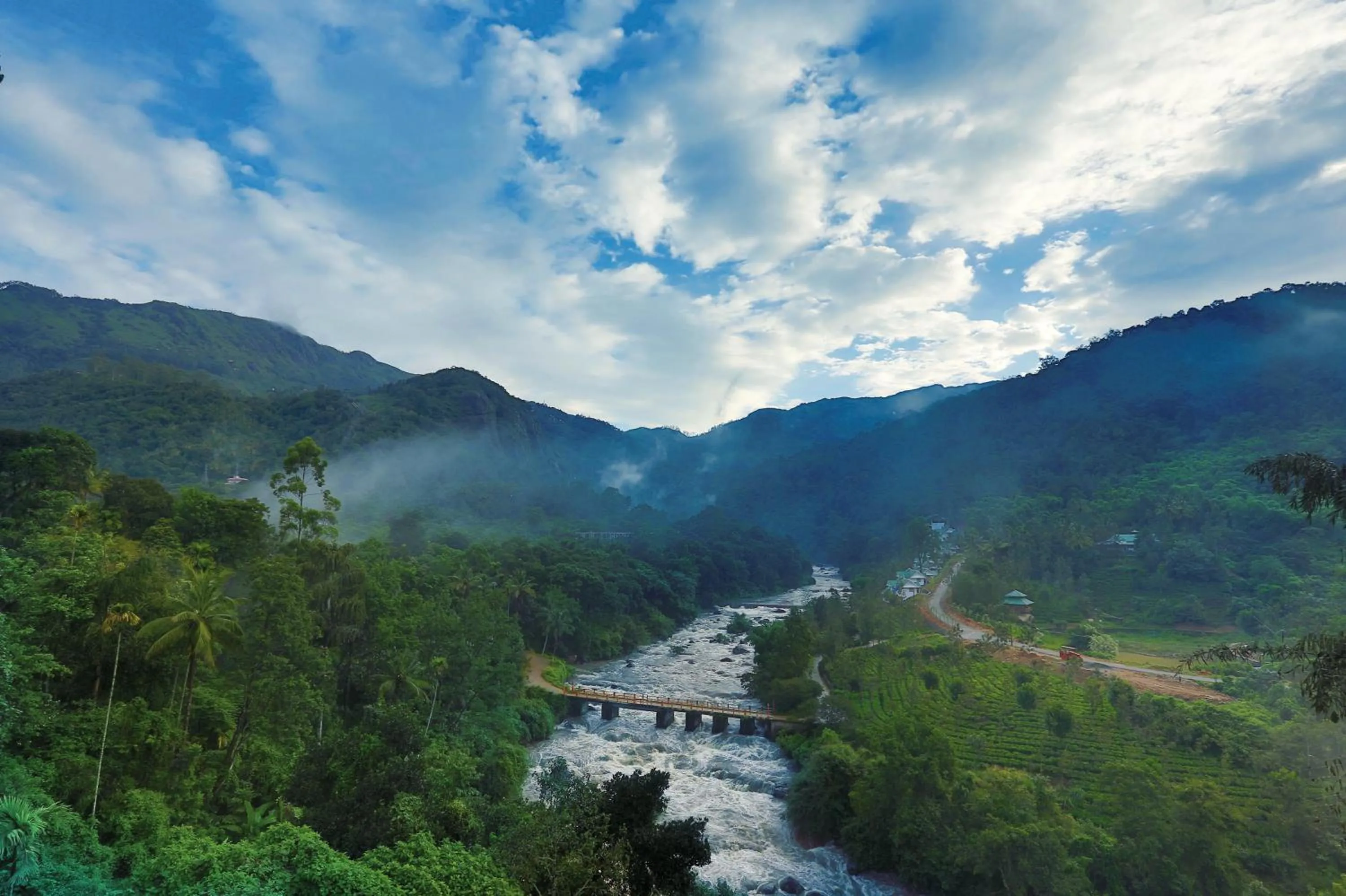 Bird's eye view in Rivulet Resort