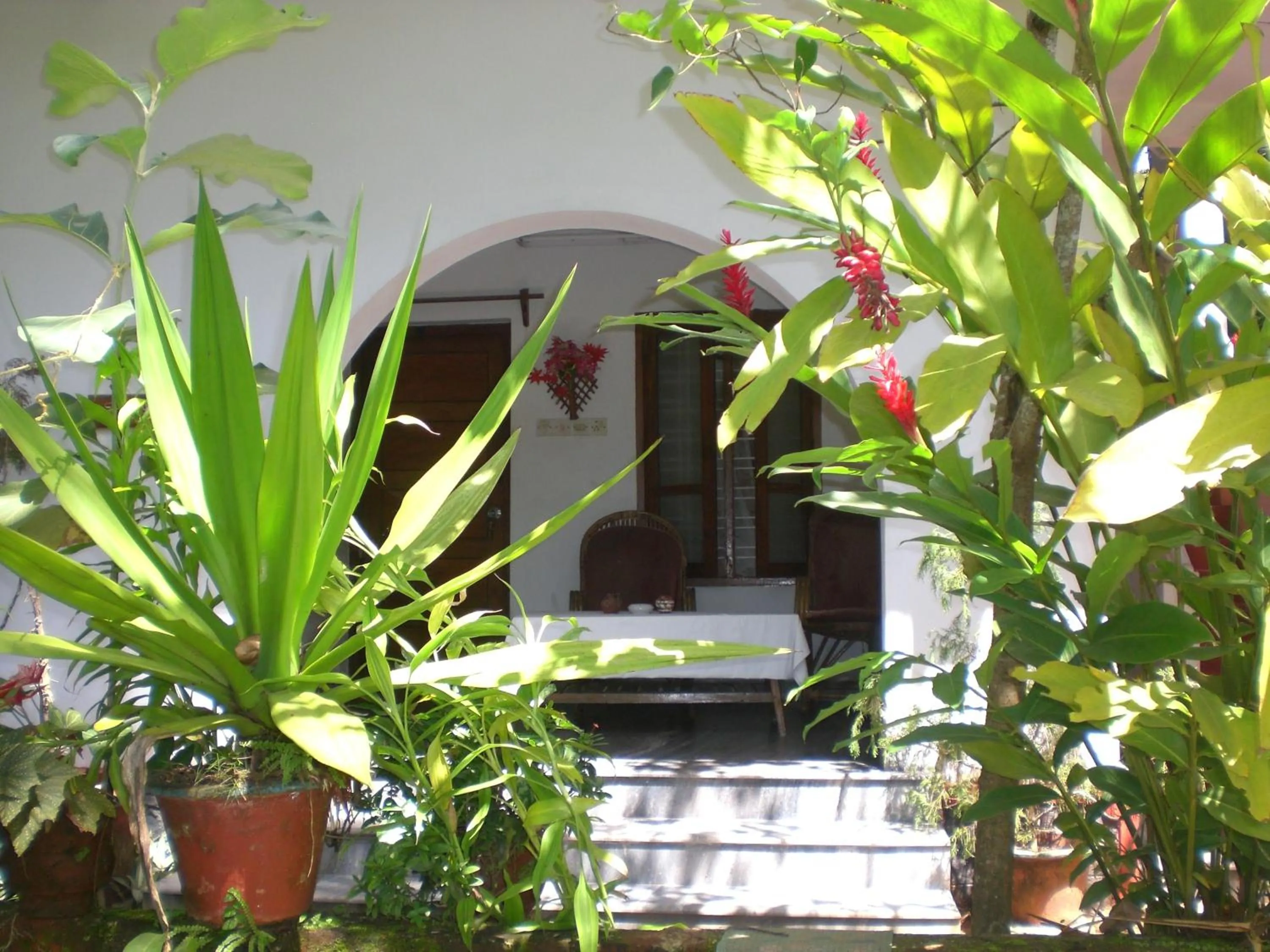 Facade/entrance in Jickys Nest