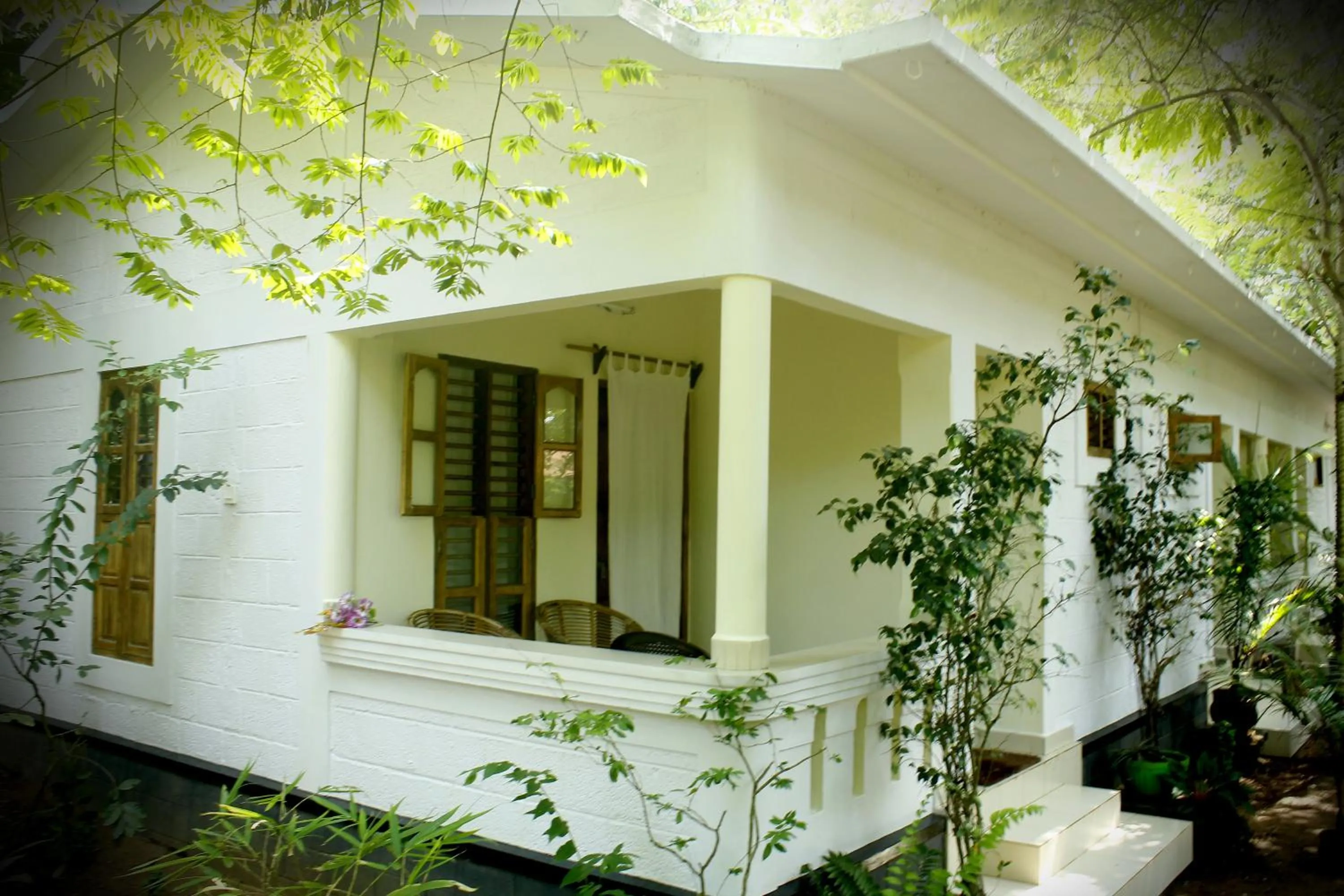 Facade/entrance in Jickys Nest