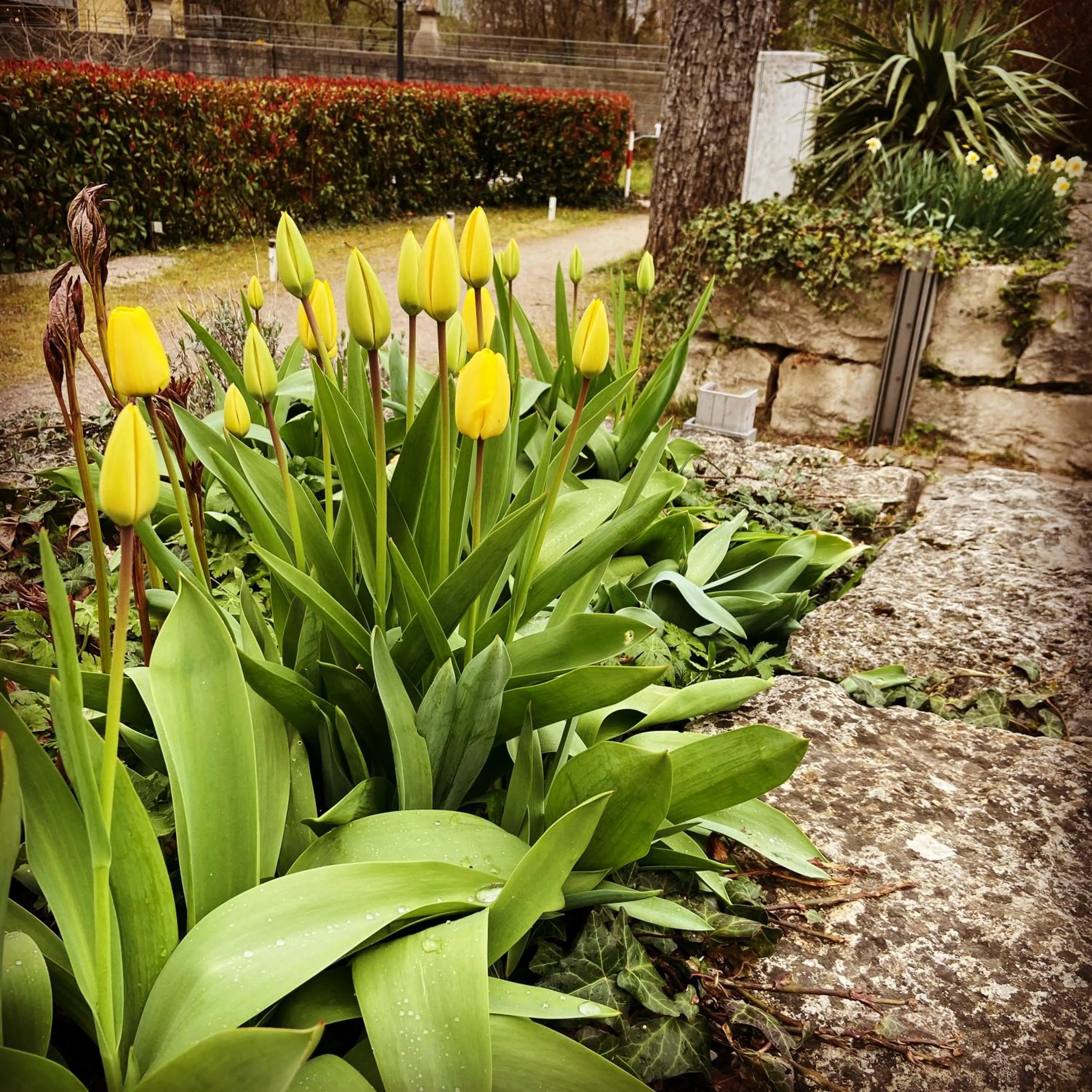 Garden in Hotel Hofmann Zur Mühle
