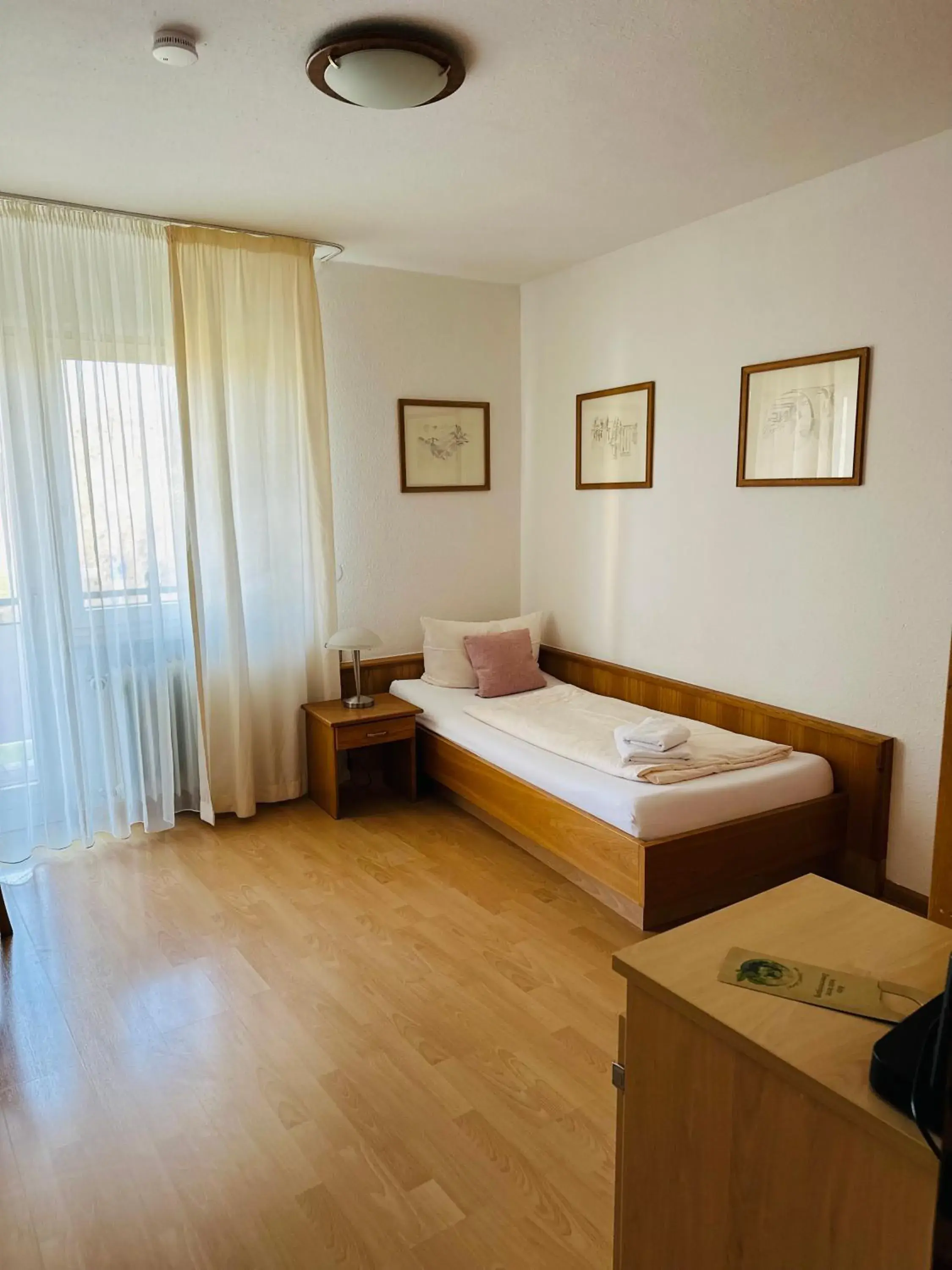 Single Room - single occupancy in Hotel Hofmann Zur Mühle Single Room - single occupancy in Hotel Hofmann Zur Mühle