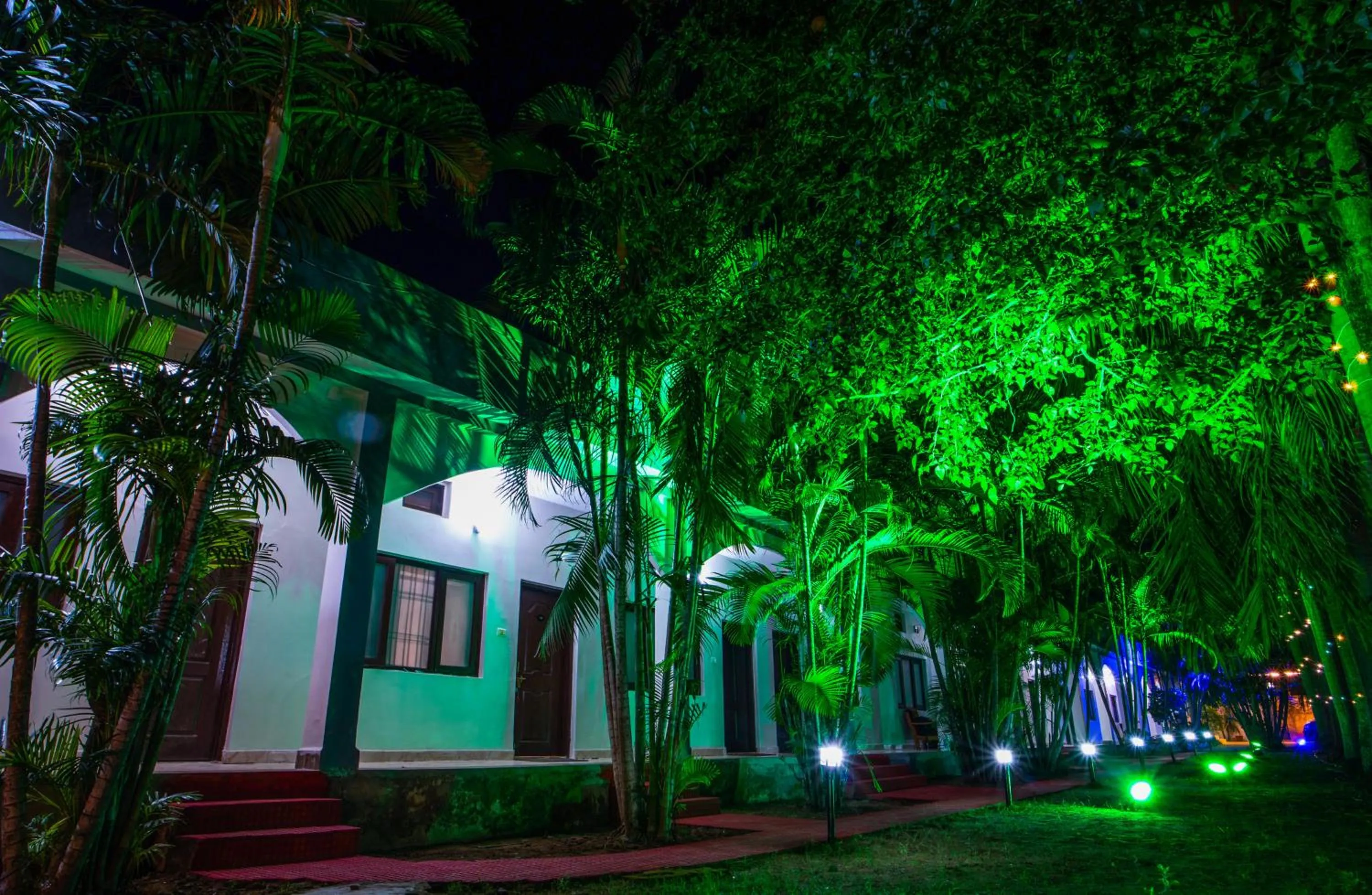Garden view in Hotel Jungle Palace Resort