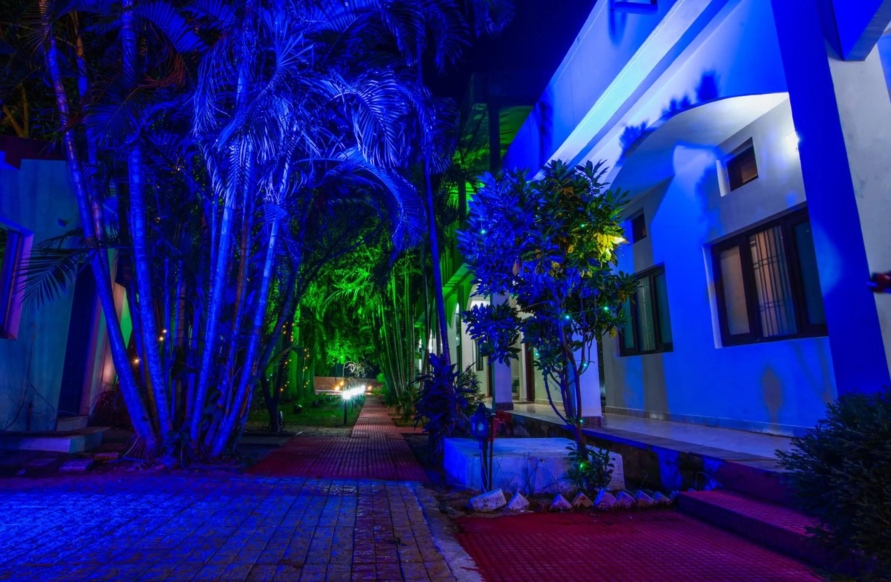 Garden view in Hotel Jungle Palace Resort