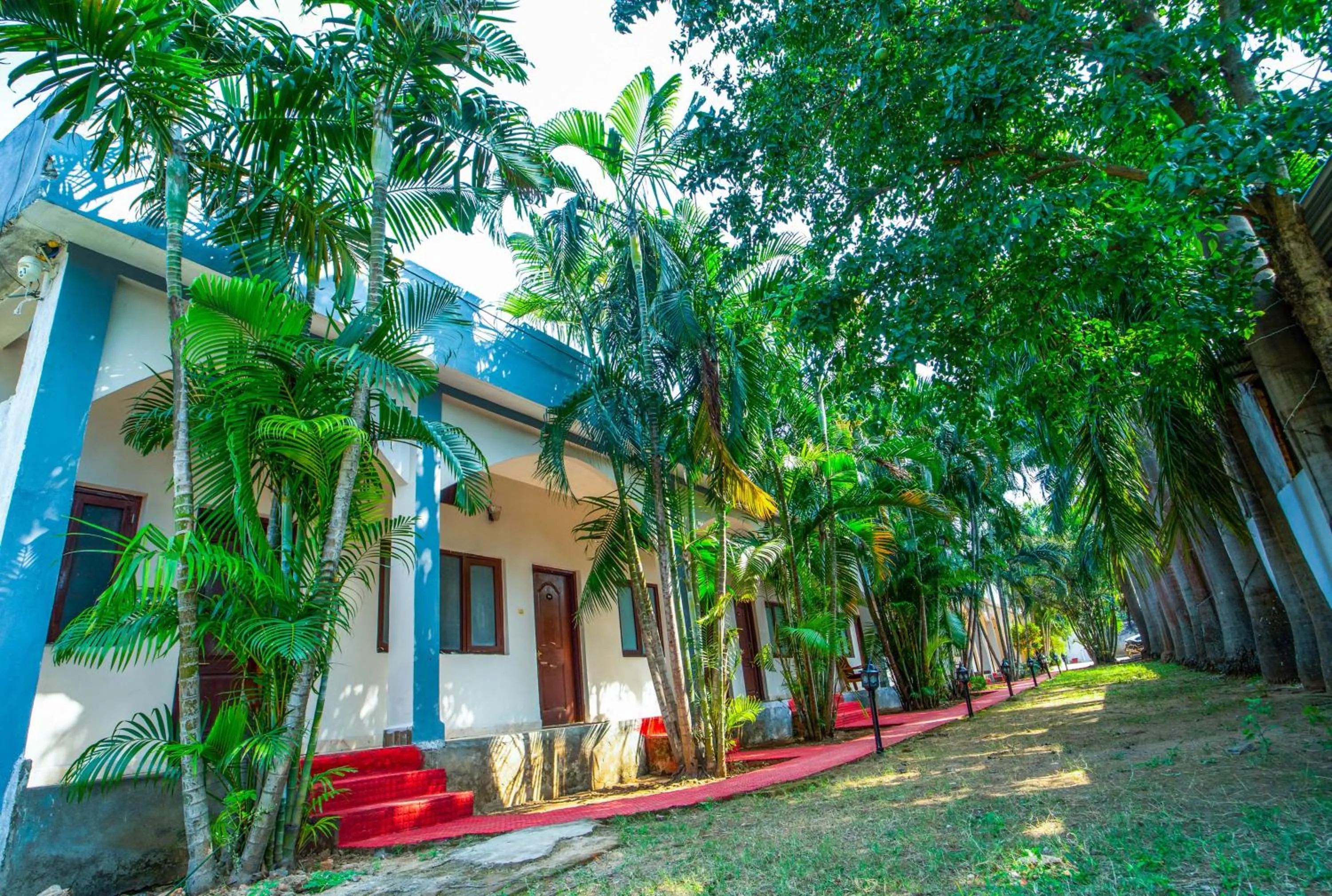 Garden in Hotel Jungle Palace Resort