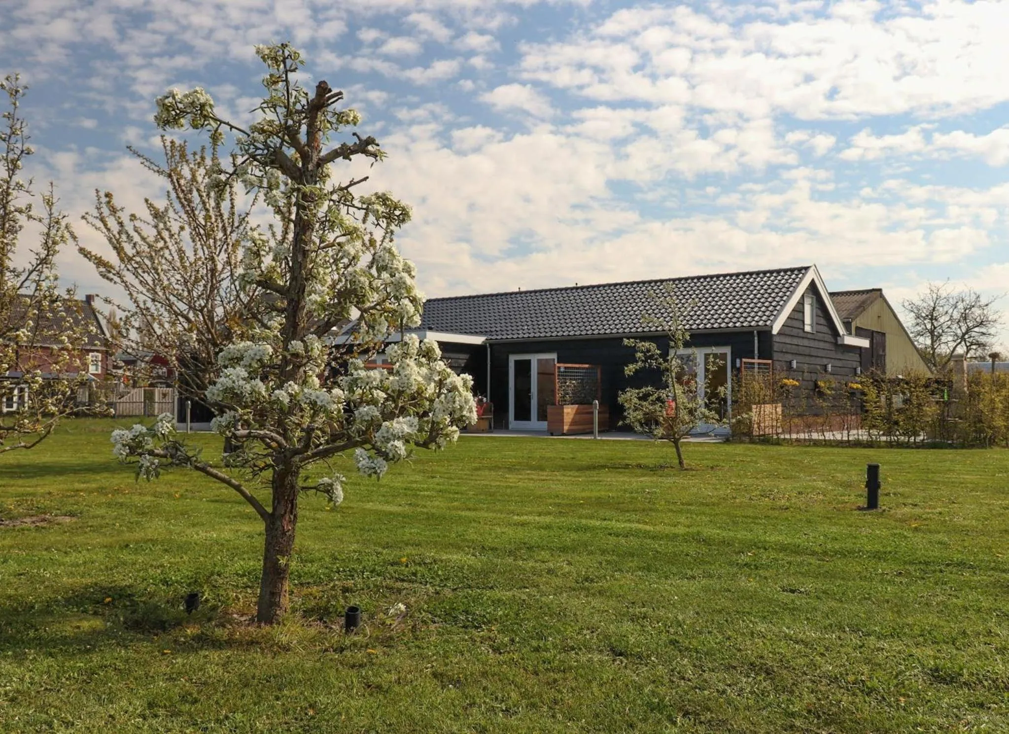 Garden in B&B Buutegeweun