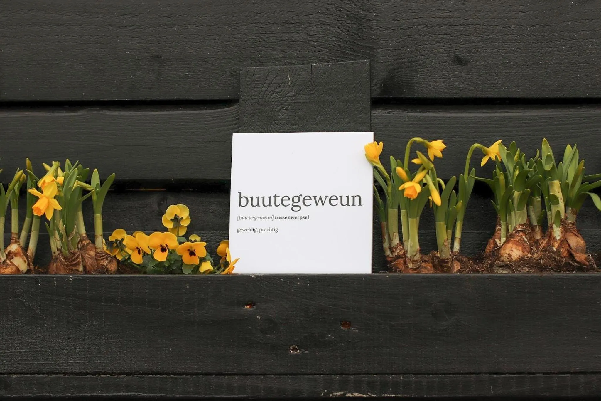 Logo/Certificate/Sign in B&B Buutegeweun
