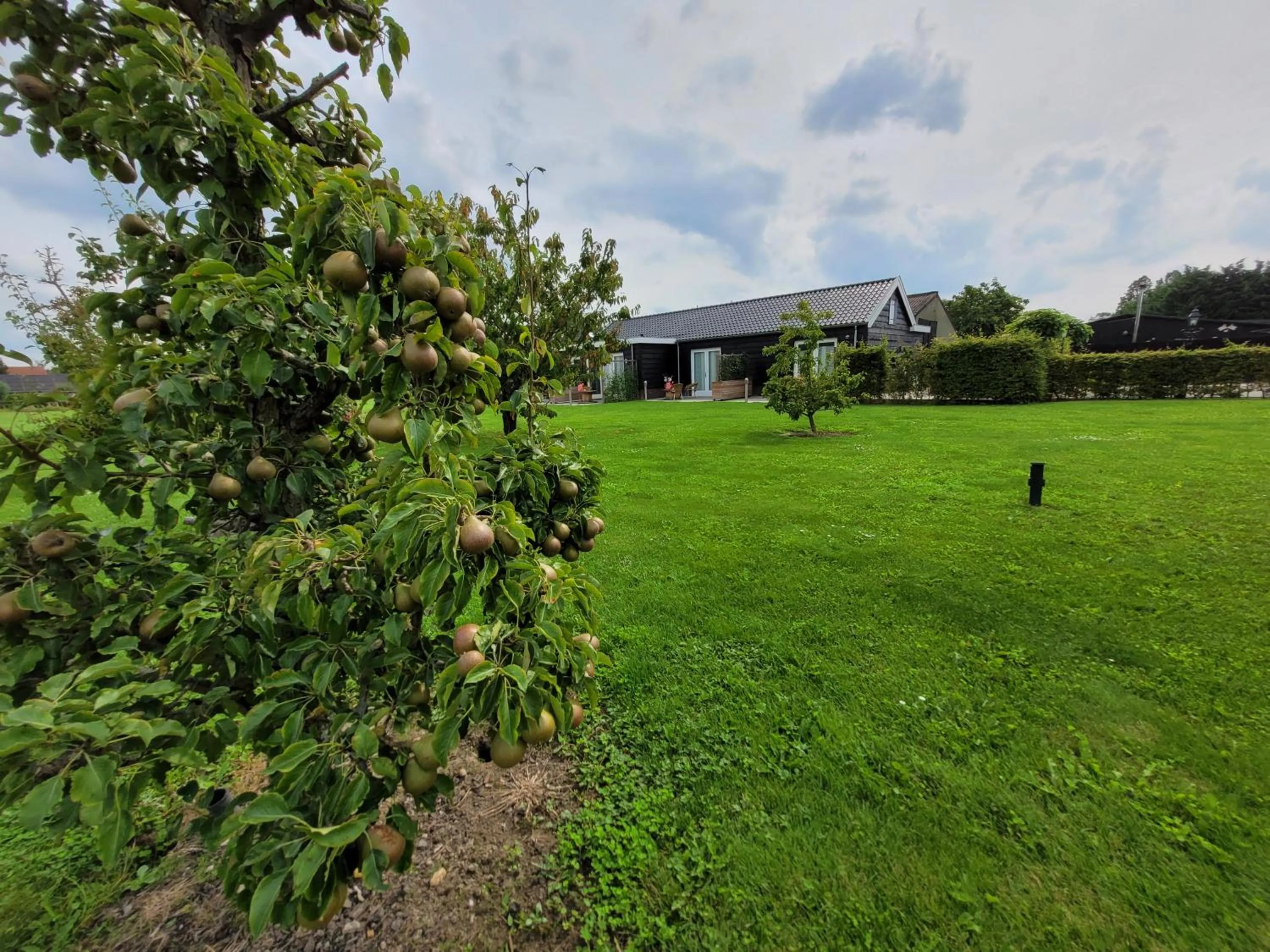 Natural landscape in B&B Buutegeweun